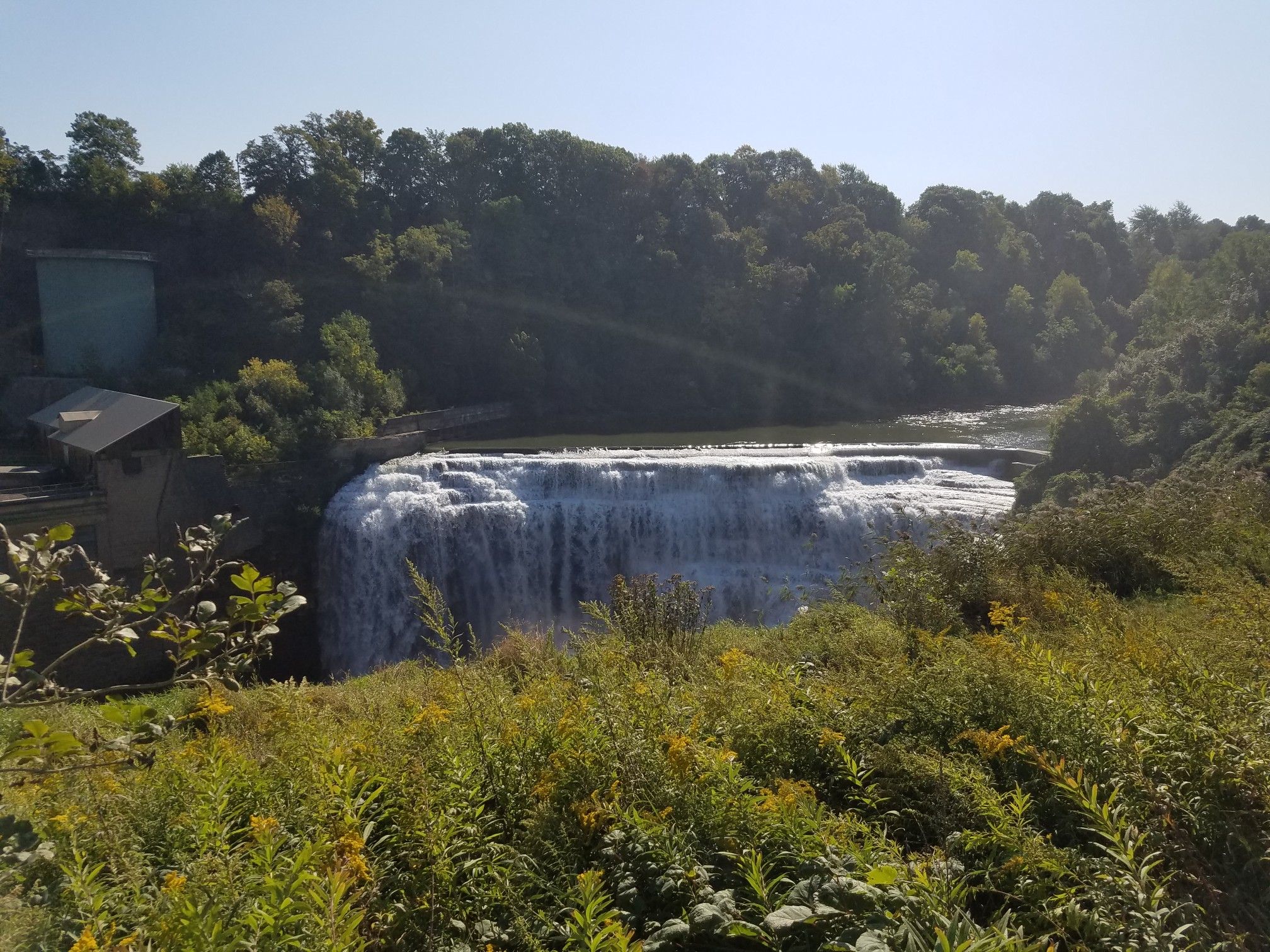 A wide, powerful waterfall cascades into a river surrounded by lush green foliage. - Lower Falls Overlook Trail