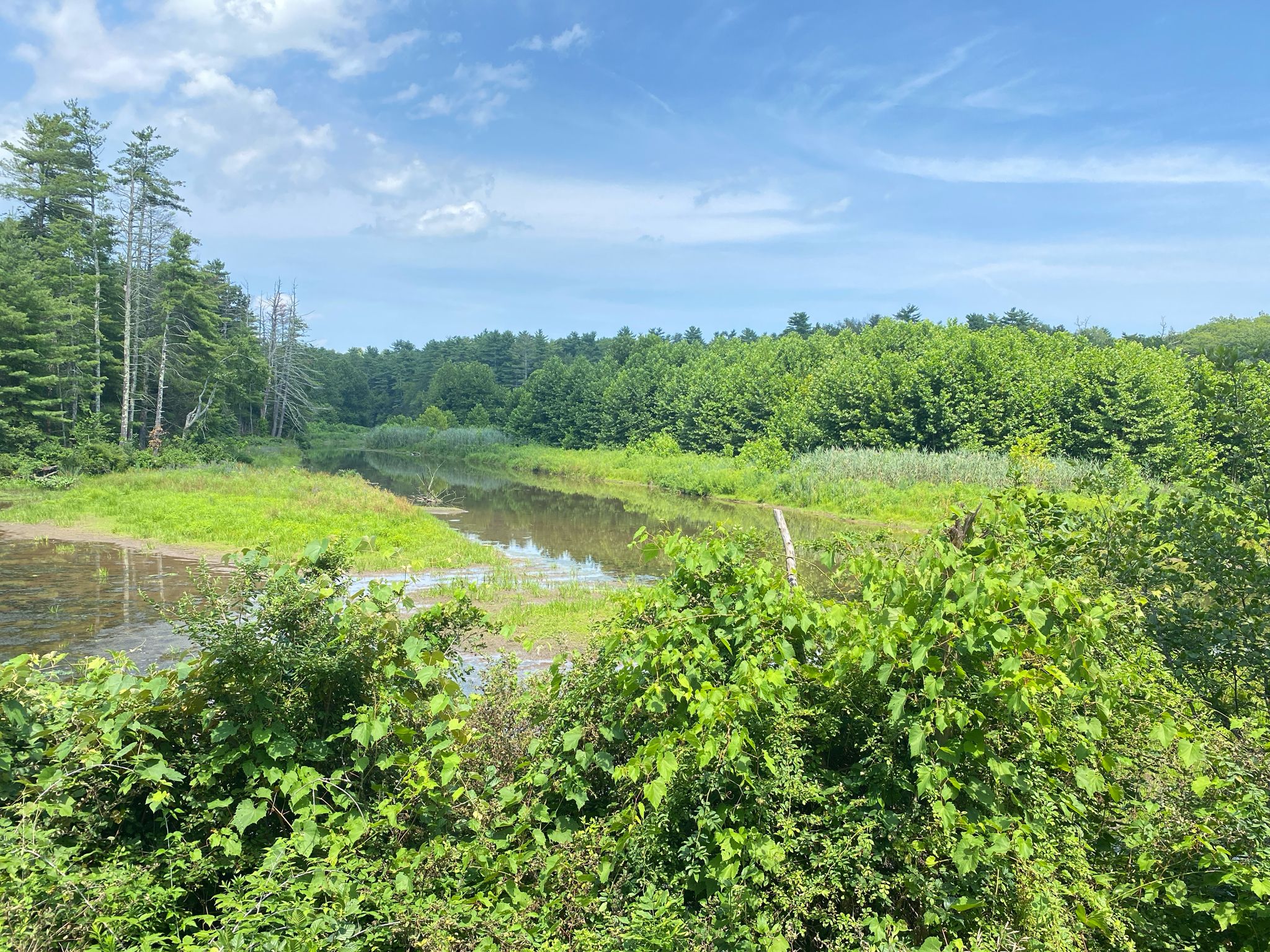 A winding river flows through lush green wetlands under a bright blue sky. - Sloan Gorge Preserve Trailhead – Kingston Reservoir Number One loop from Sloan Gorge Preserve
