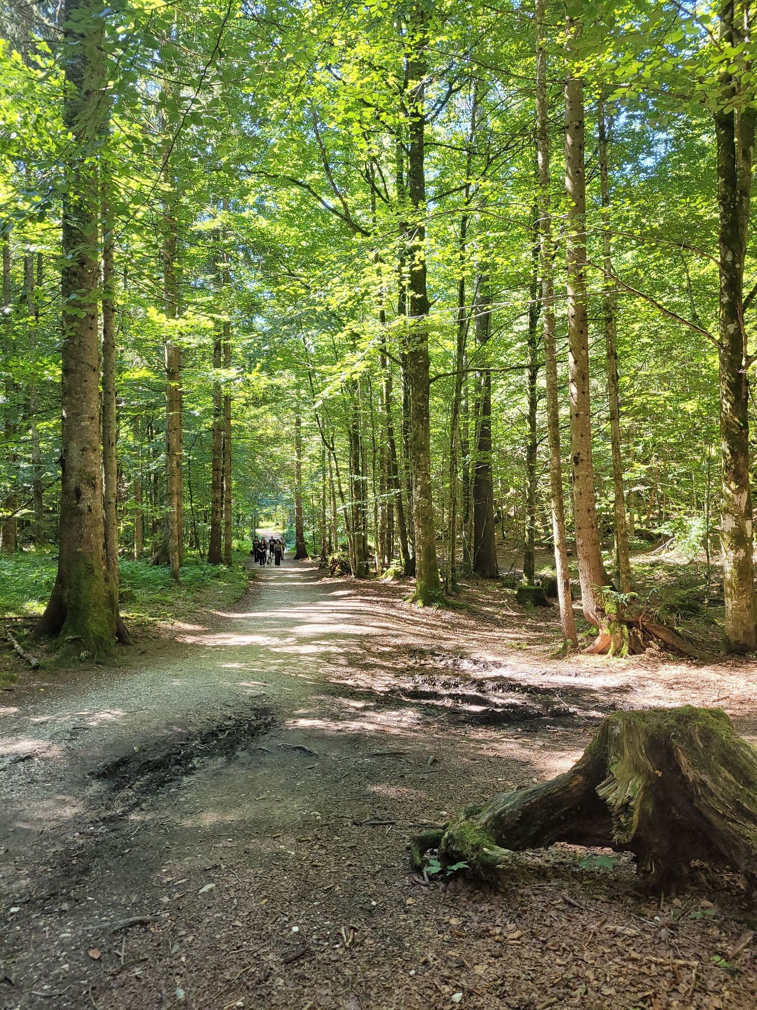 Rückweg nach Gößl