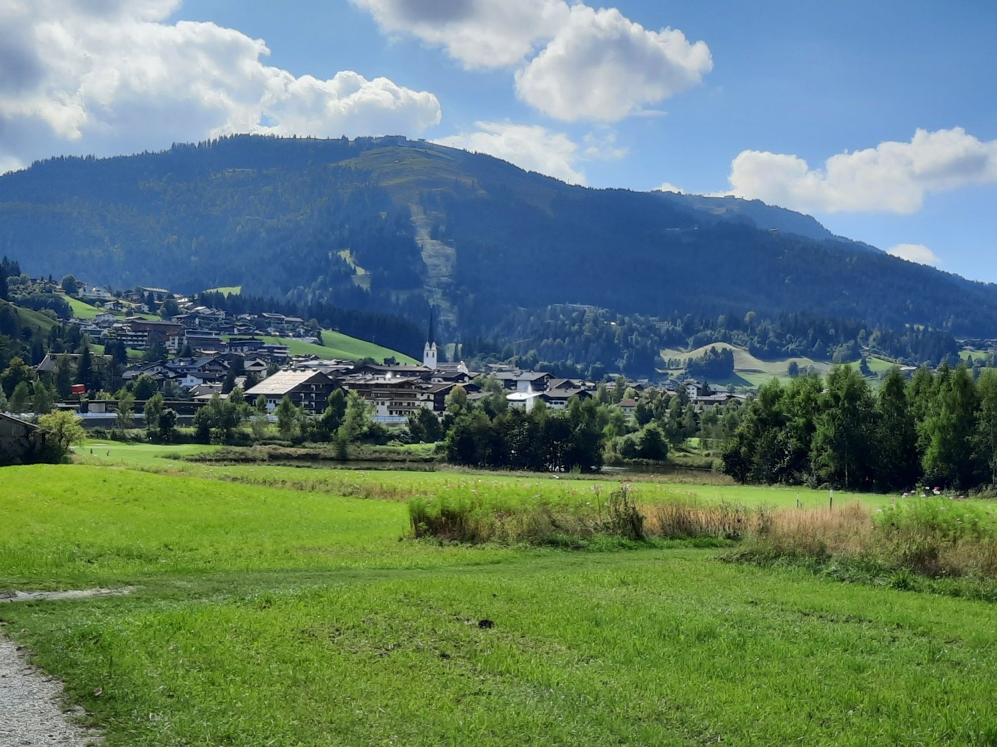 Blick auf Ellmau