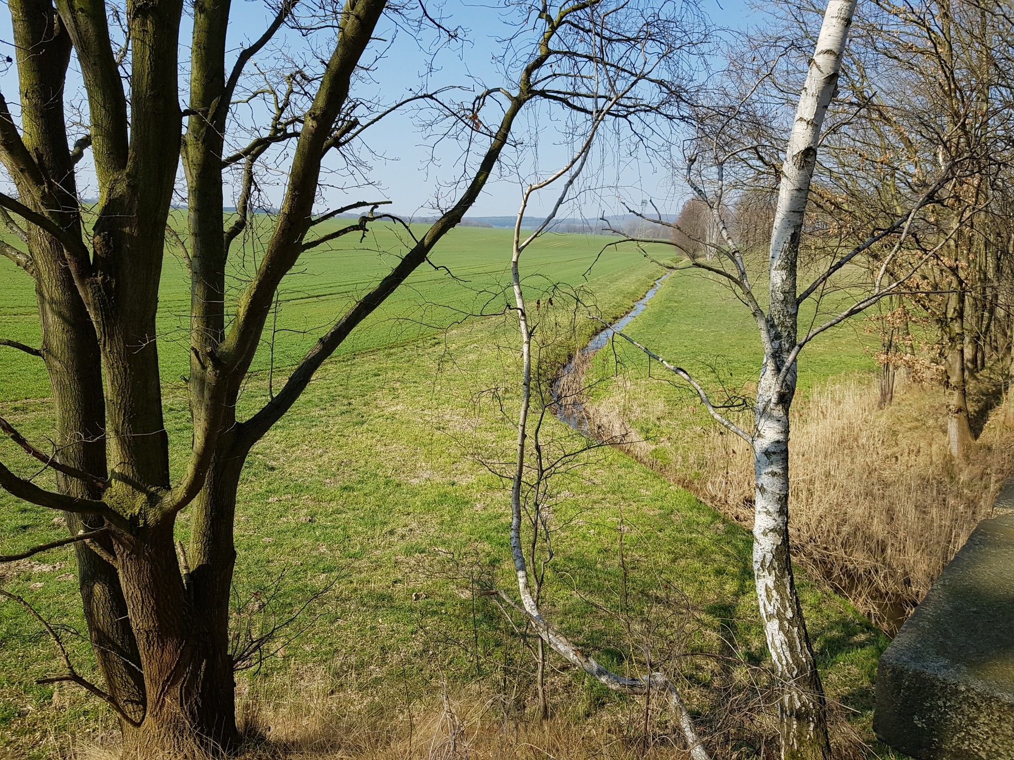Königshainer Wasser