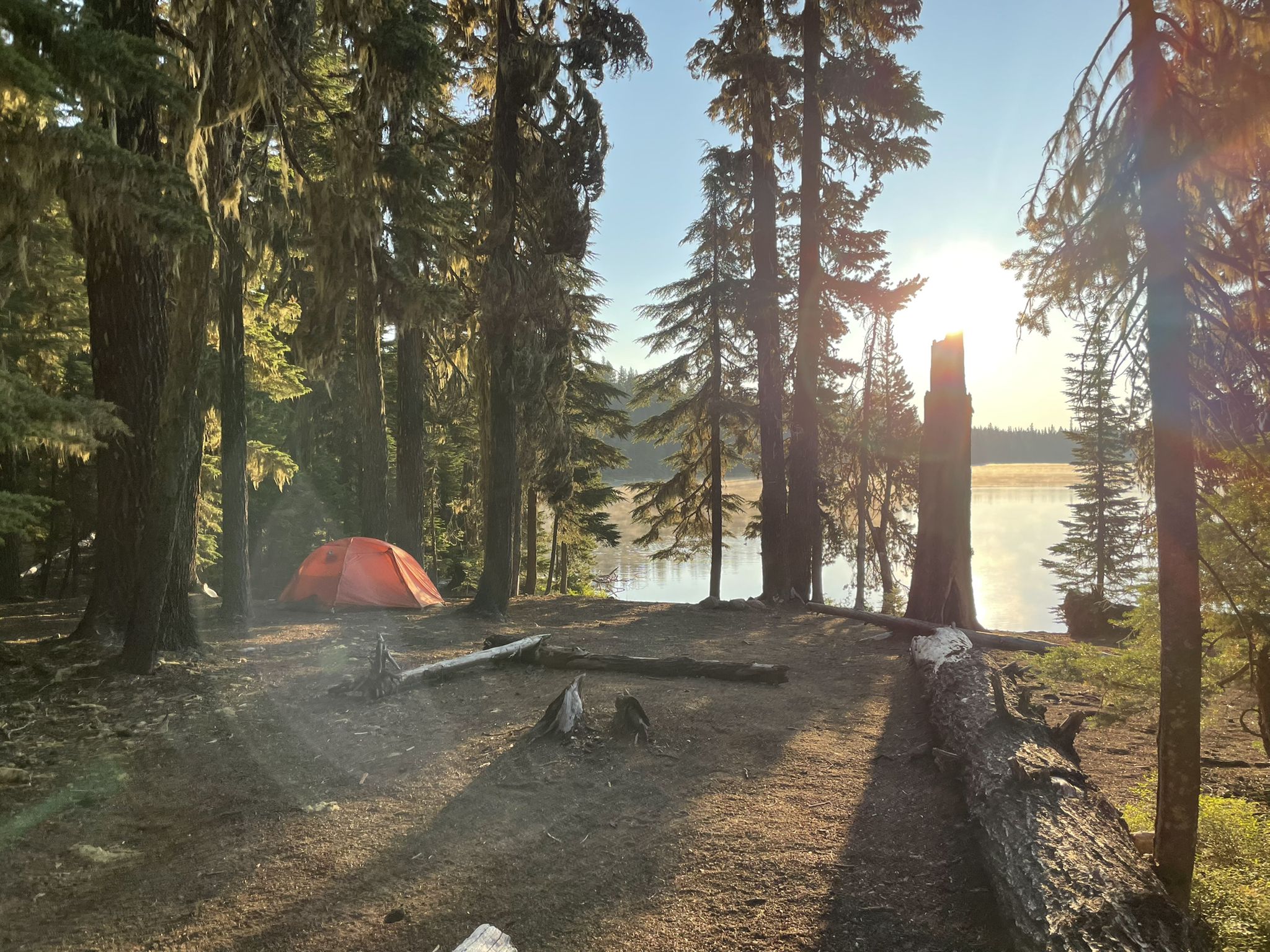 Orange tent in a sunlit forest campsite by a calm lake. - Bobby Lake Trail