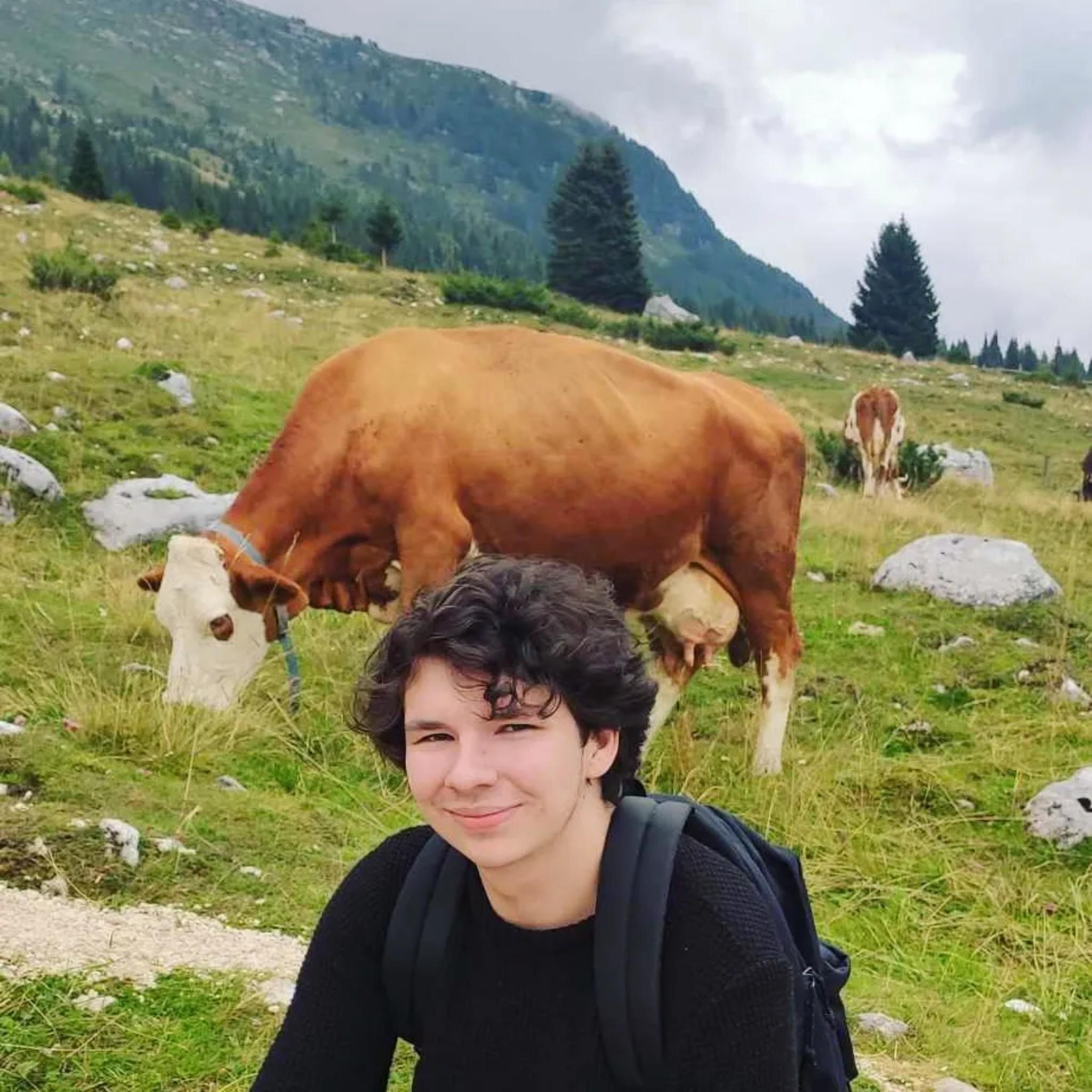 user avatar
