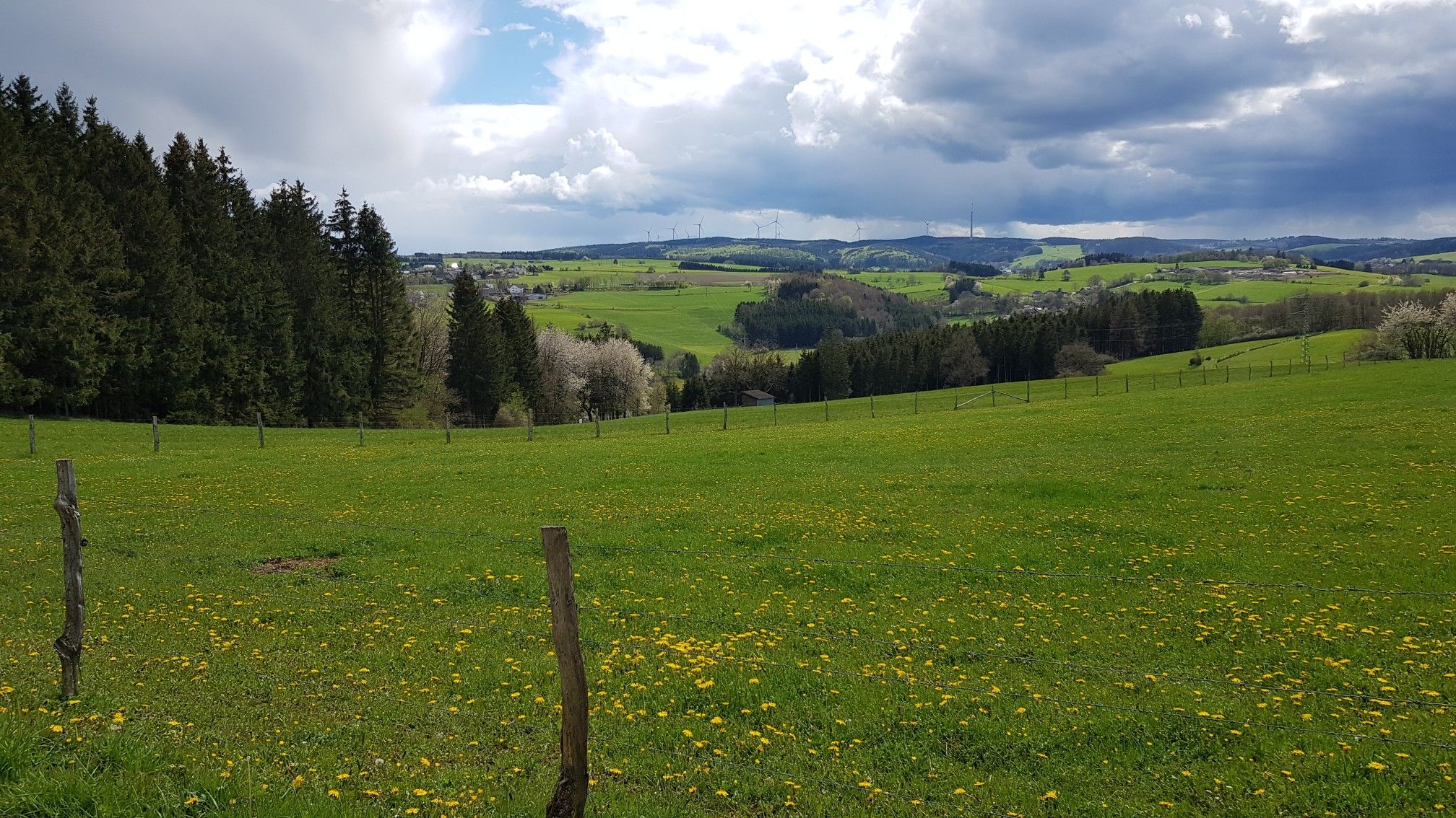 offene Wiesenlandschaft mit Aussichten -  Zingscheider Höhe