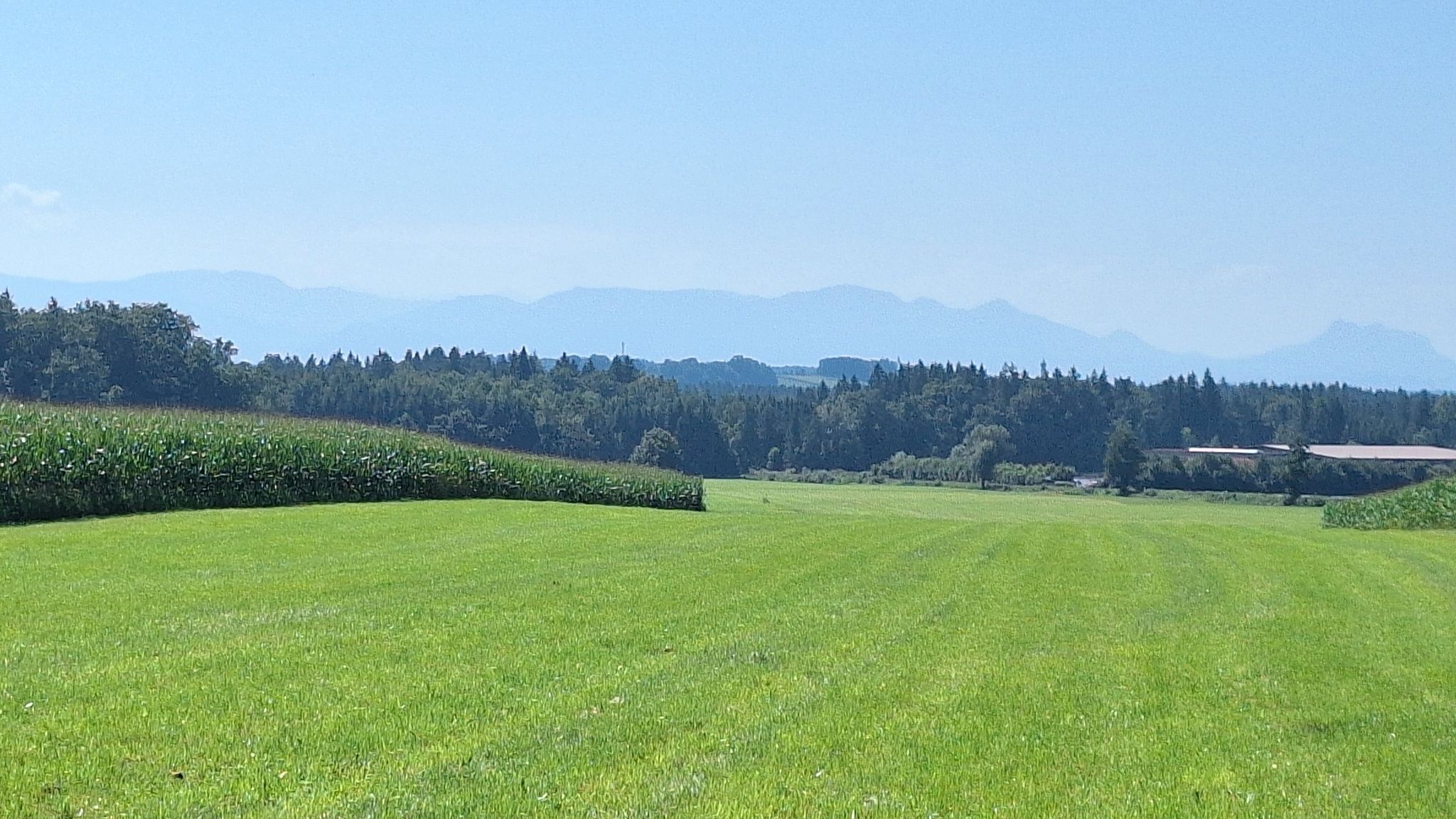 Blick zur Hochries