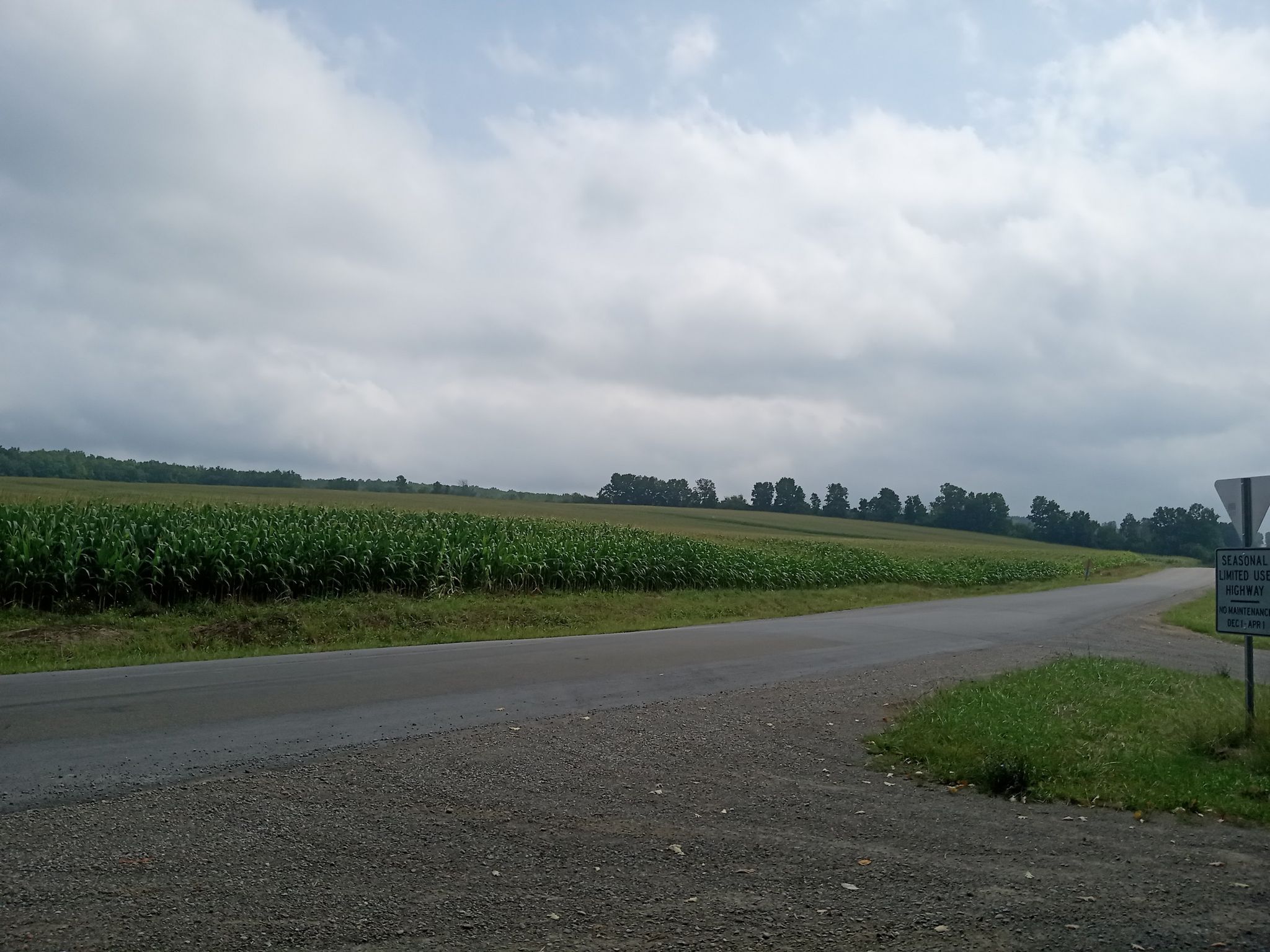 A rural road next to a green cornfield under a cloudy sky. - Letchworth Trail