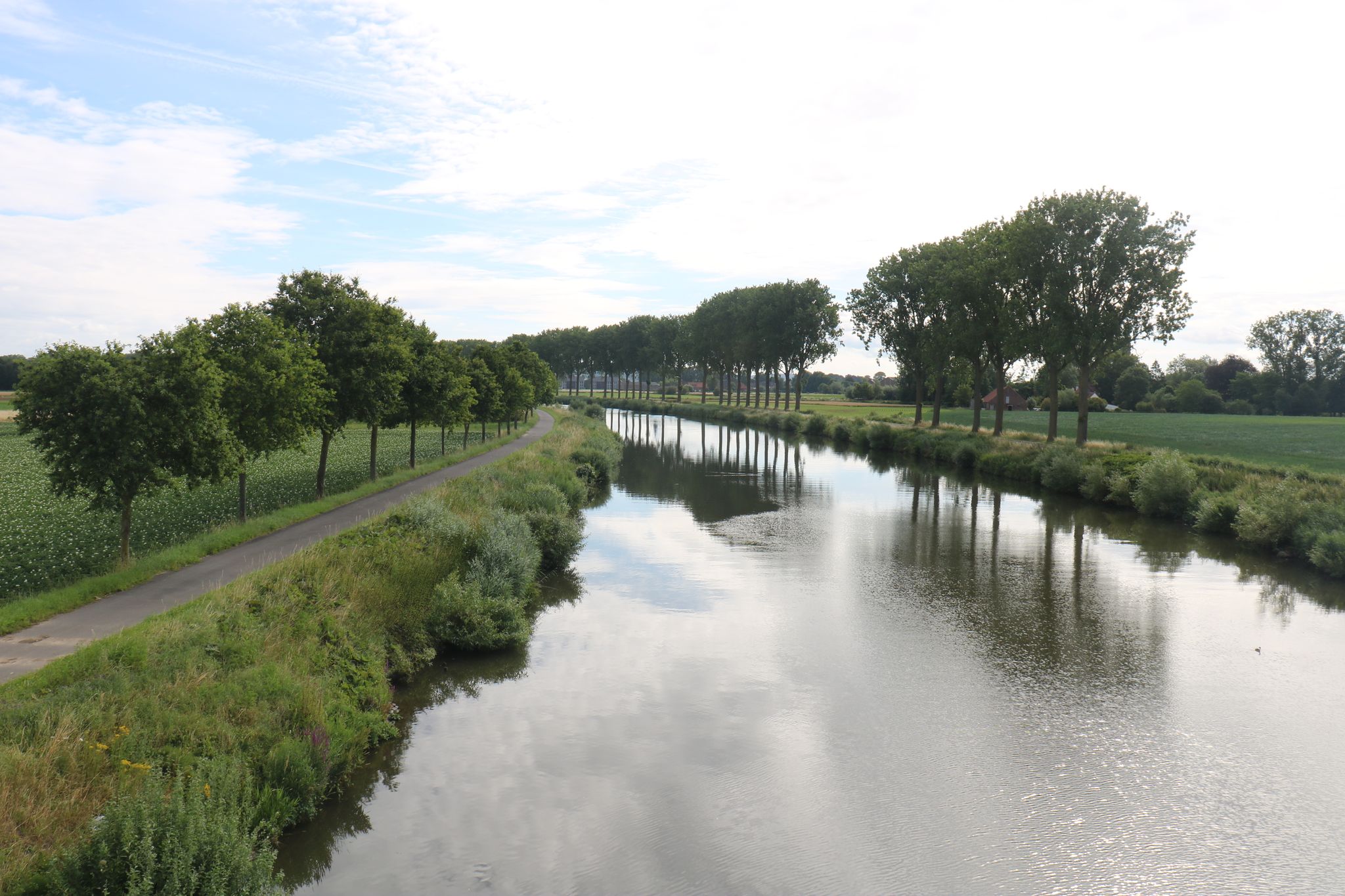 vanop brug over de Schelde
