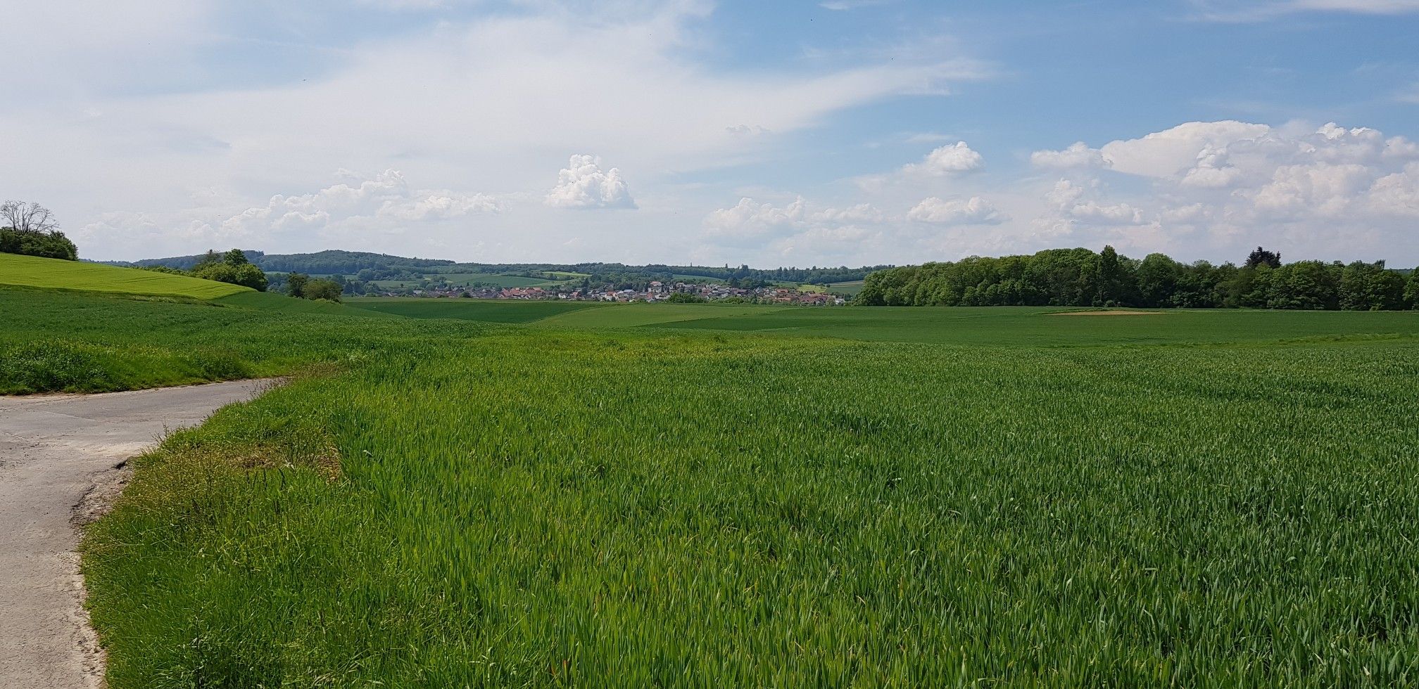 Blick nach Geiss-Nidda