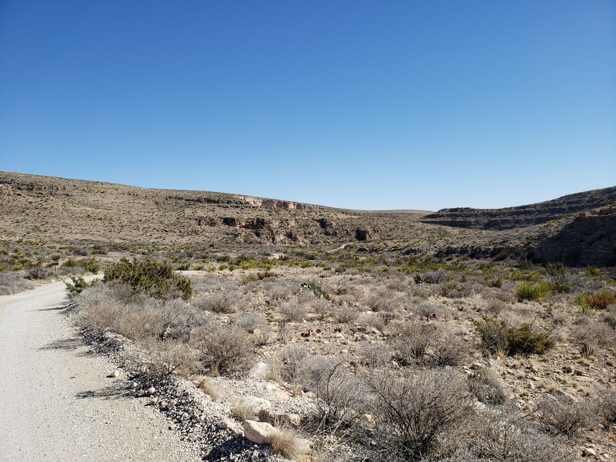 A dirt road winds through a sunny, dry desert canyon with sparse vegetation. - Desert Scenic Drive Gravel loop