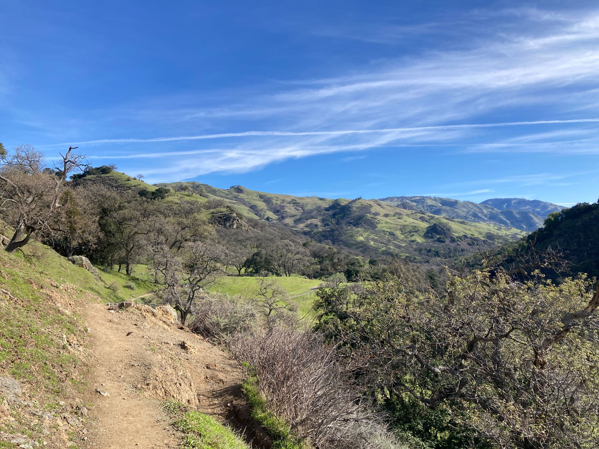 Dirt path through green, rolling hills and trees under a bright blue sky. - Little Yosemite – Little Yosemite loop from Sunol Regional Wilderness