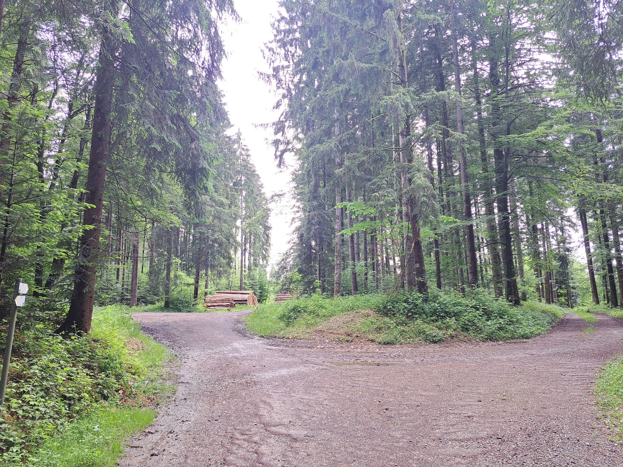 Osterwald nennt sich der Wald🤷🏻‍♂️