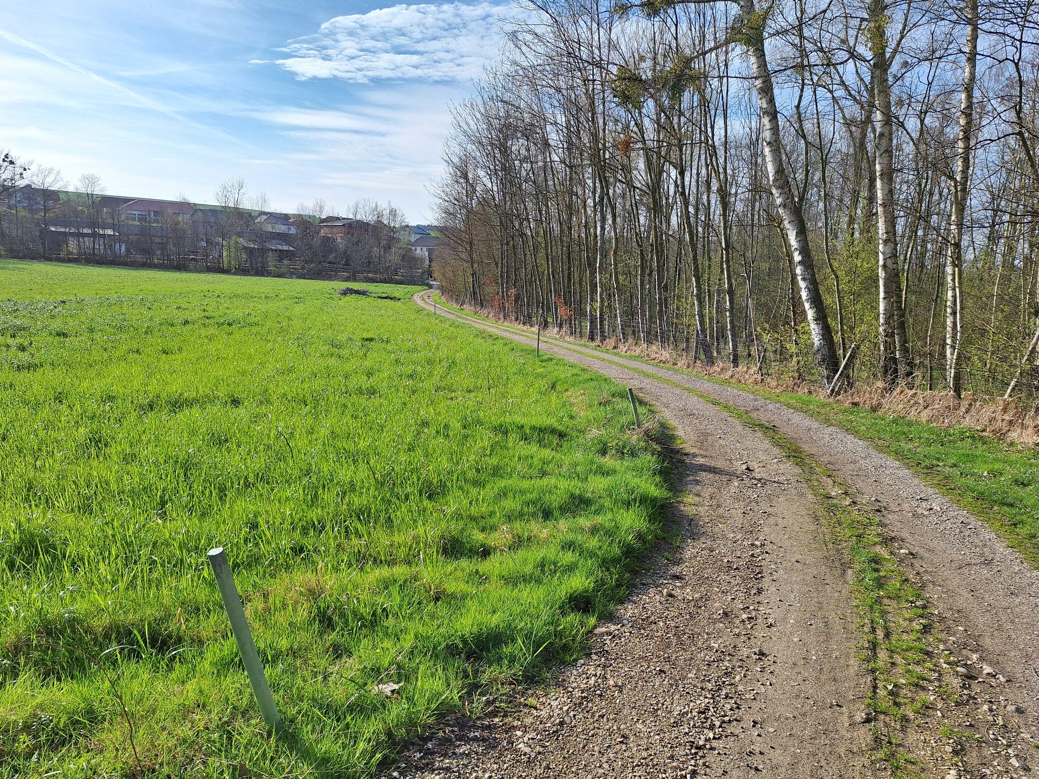 In Pramet rechts bei der Einfahrt zum Zahnarzt rauf und hinter der Häuserfront weiter dann kommt man zu diesem tollen Weg,