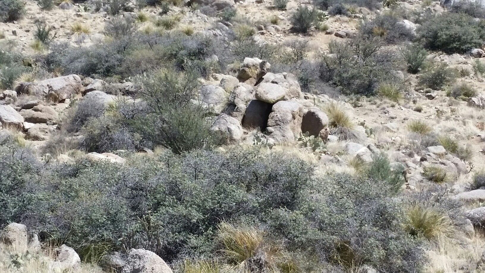 Arid, rocky landscape with sparse green and brown desert shrubs under bright light. - Sandia Foothills Open Space – Sandia Foothills Trail 365 loop from Redbox