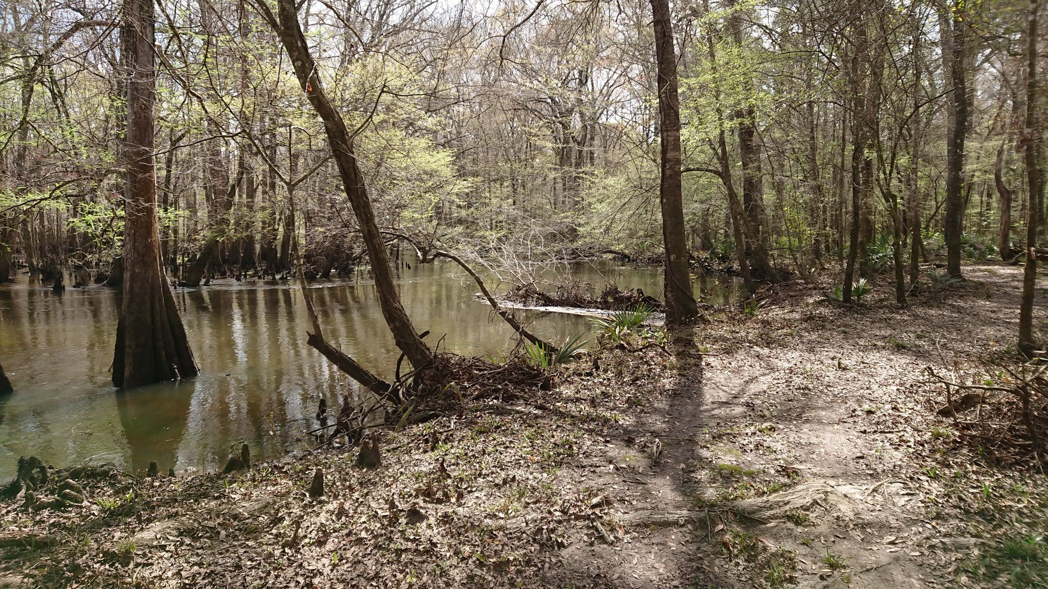 Weg am Fluss