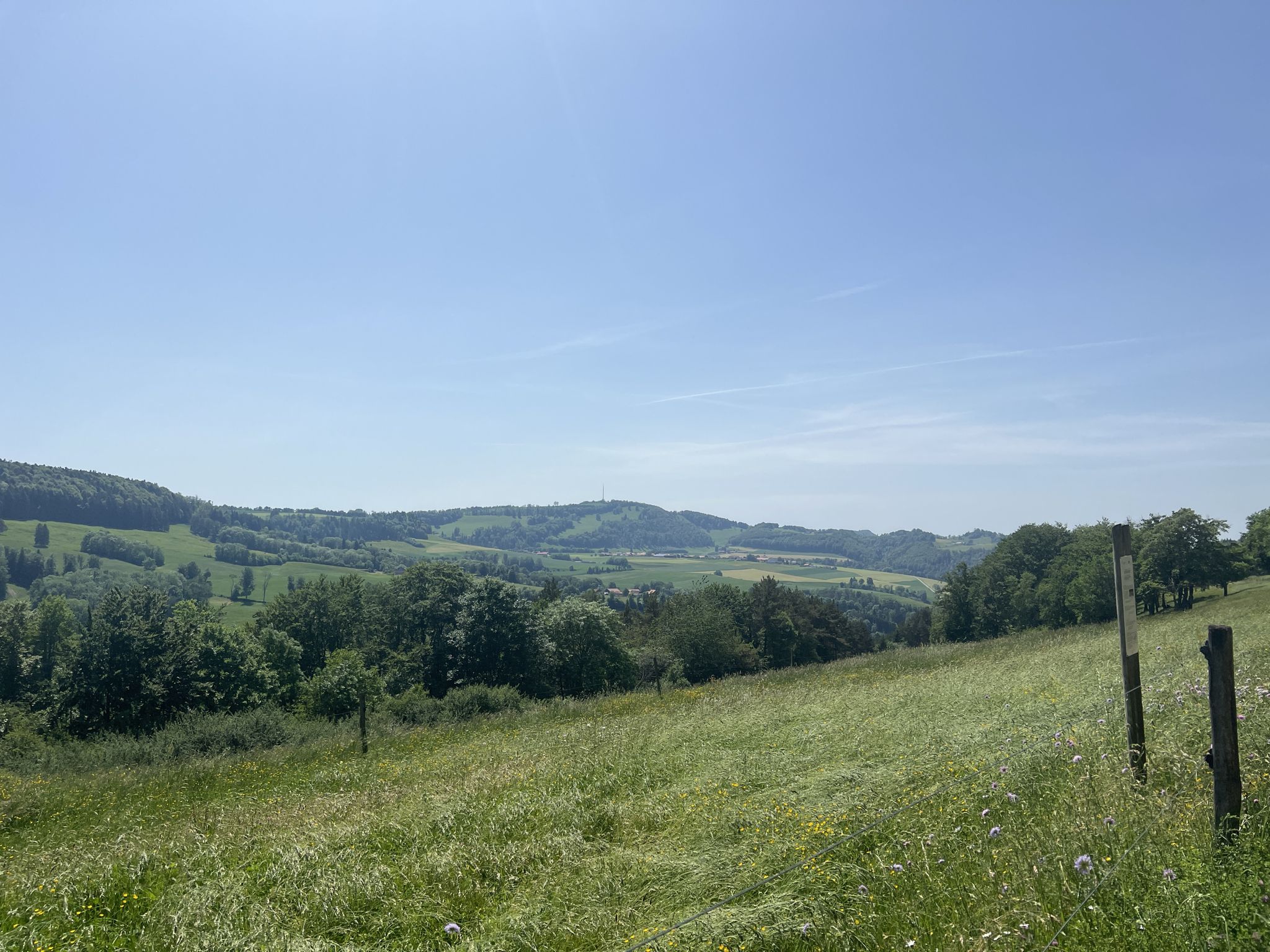 Blick in die Ferne
