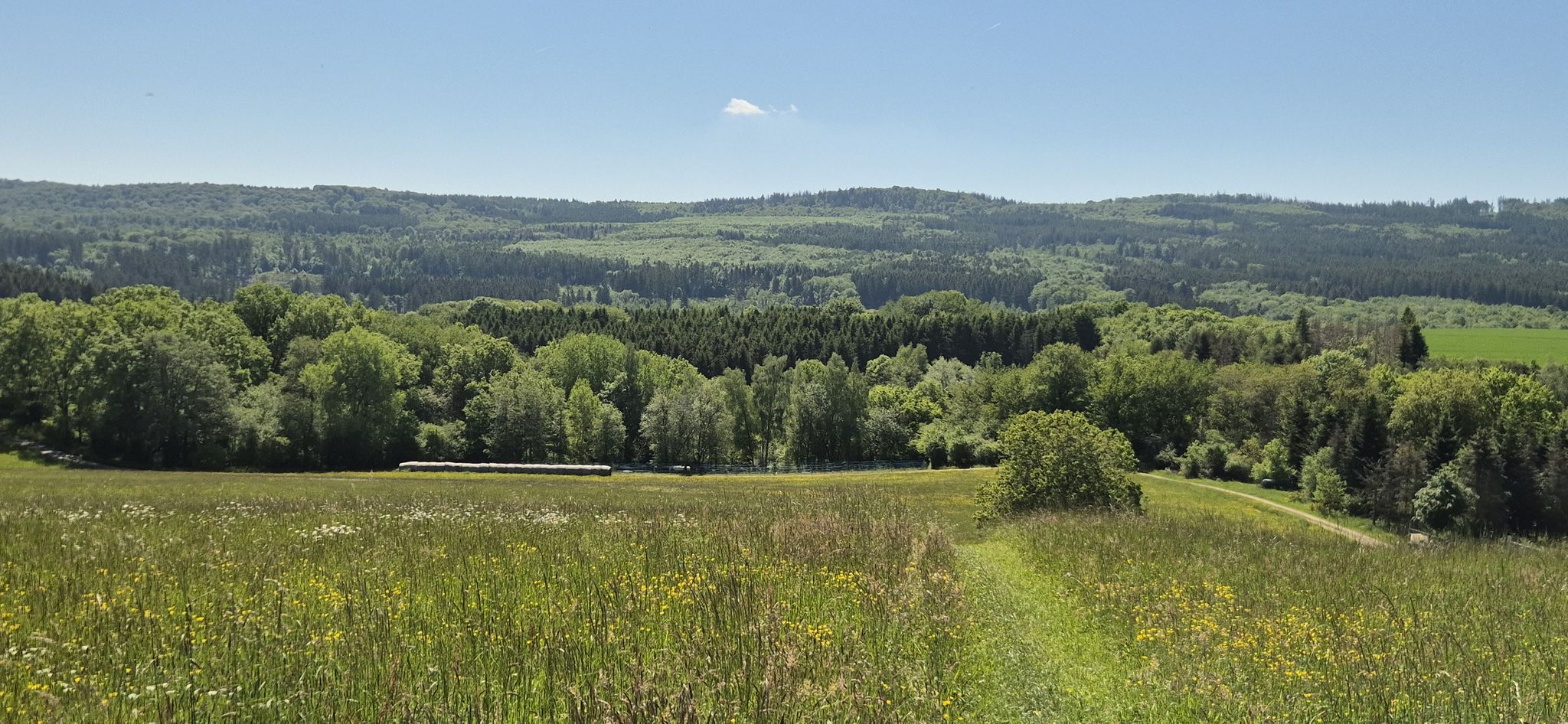 Abstieg ins Idartal