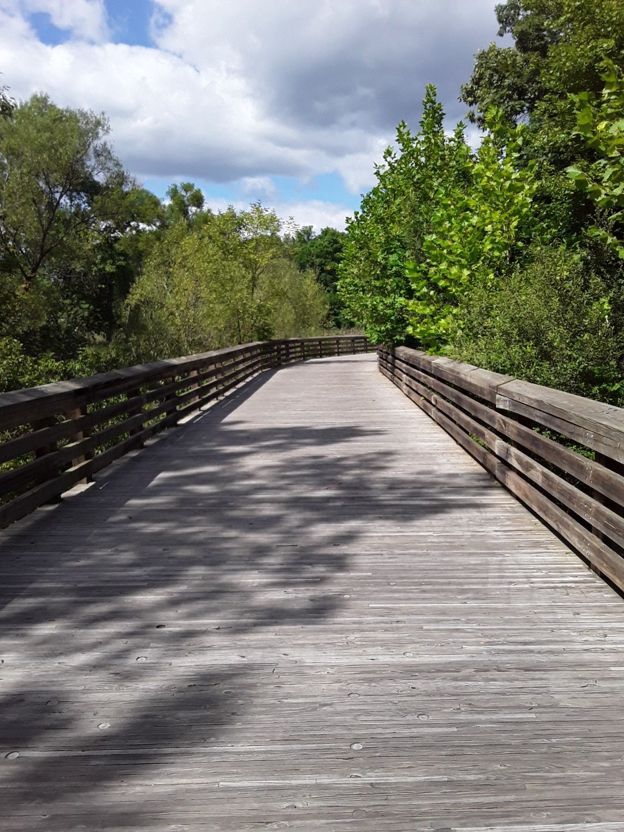 A wooden boardwalk winds through a sunny forest under a partly cloudy sky. - Hirsch Property loop from Central Falls