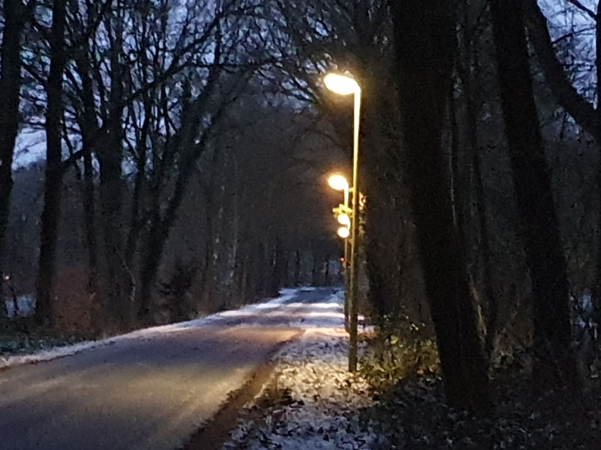 Unterwegs am Lingener Tierheim.
