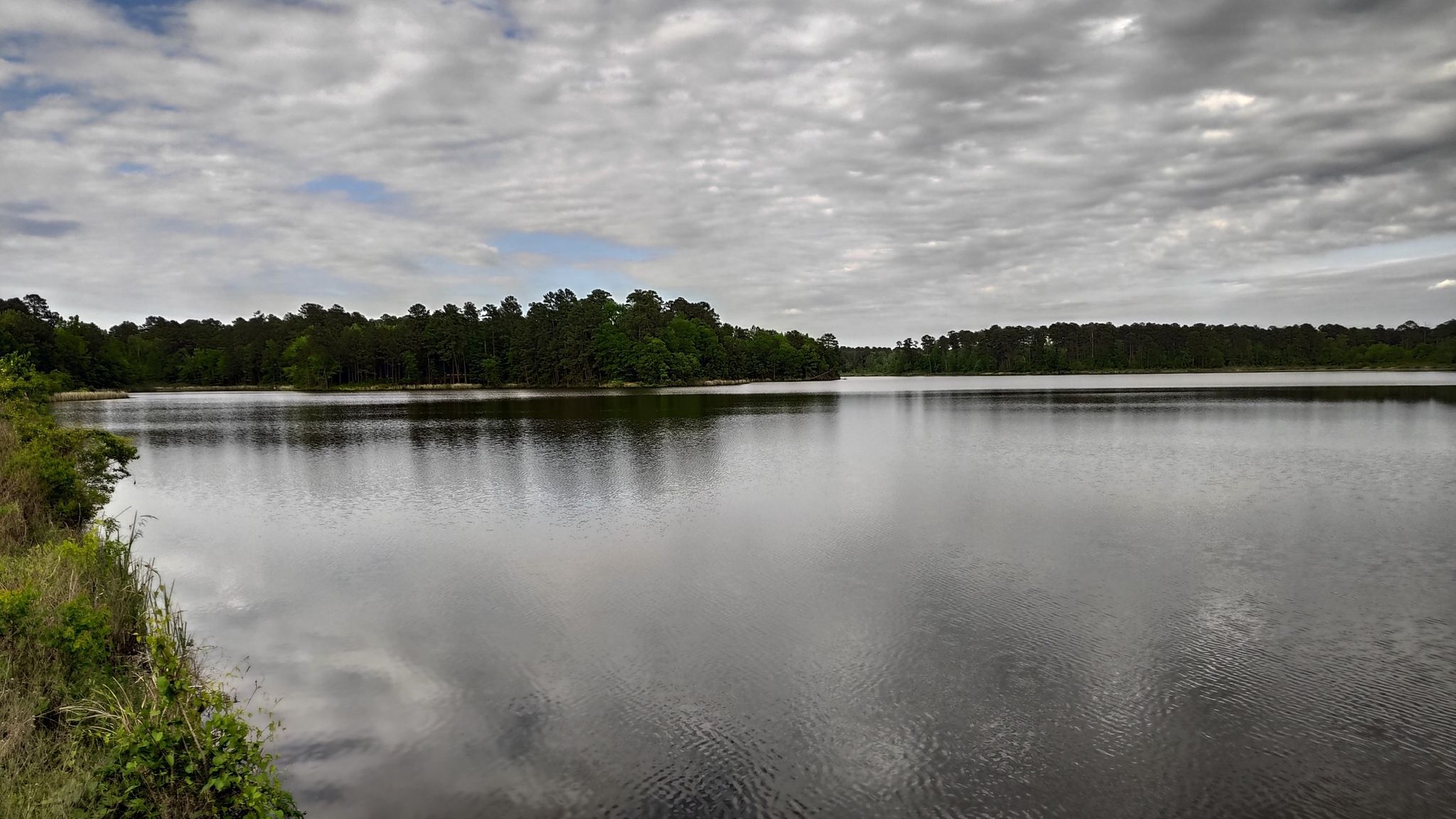 Calm lake reflecting cloudy sky and distant evergreen trees. - Sugar Cane Trail