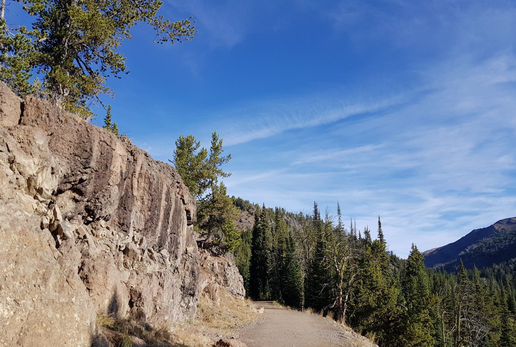 Dirt path alongside a rocky cliff with evergreen trees under a bright blue sky. - Mount Washburn Trail