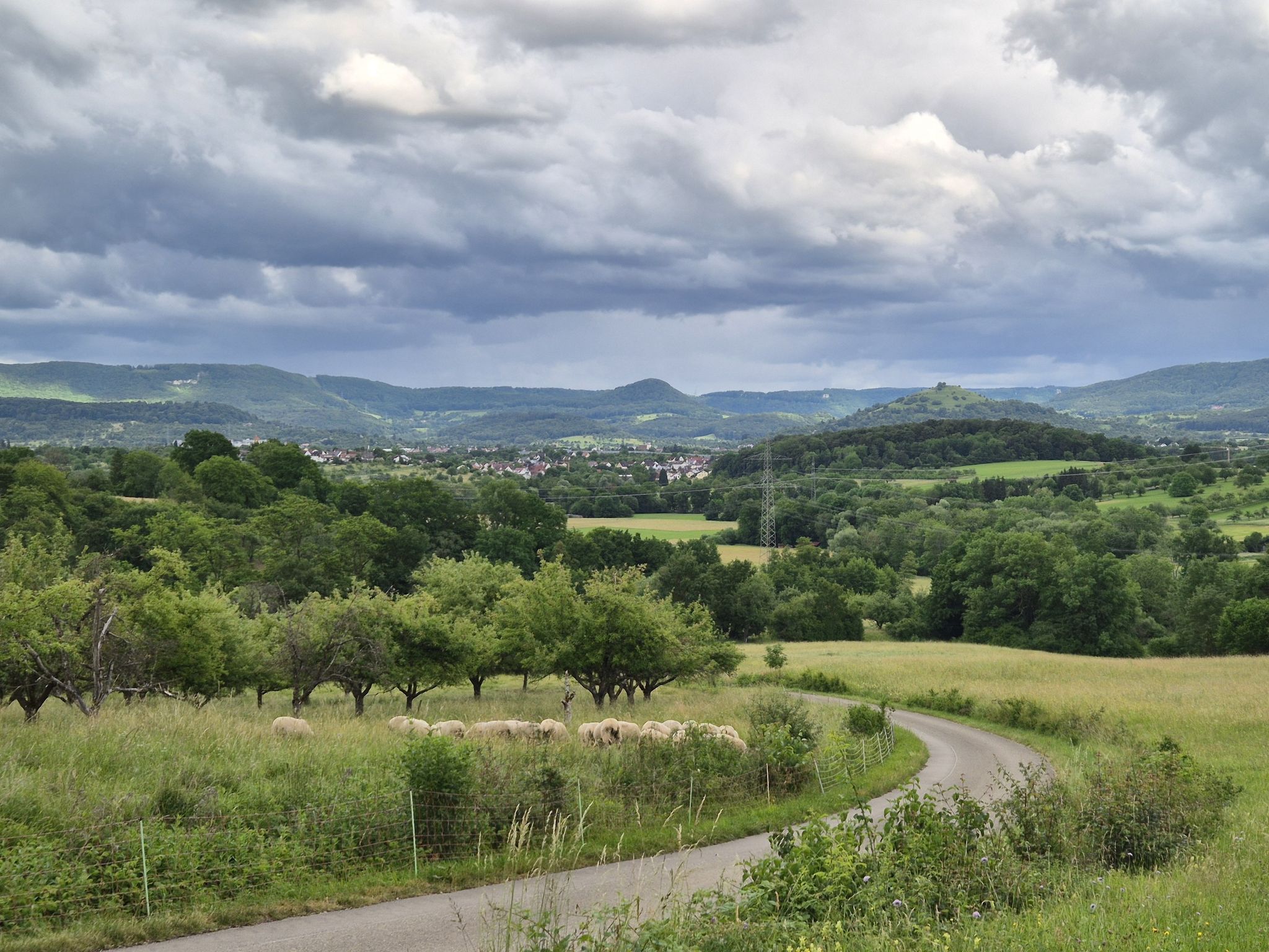 Albpanorama
