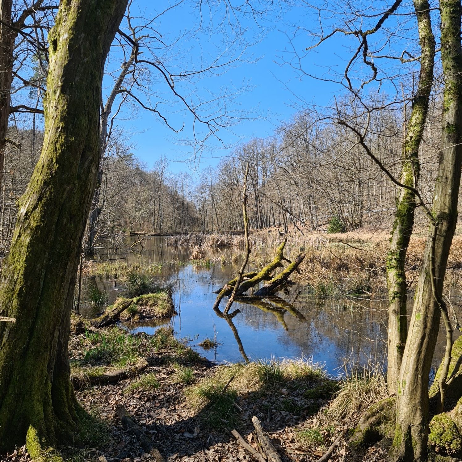 Dudweiler Winterbach