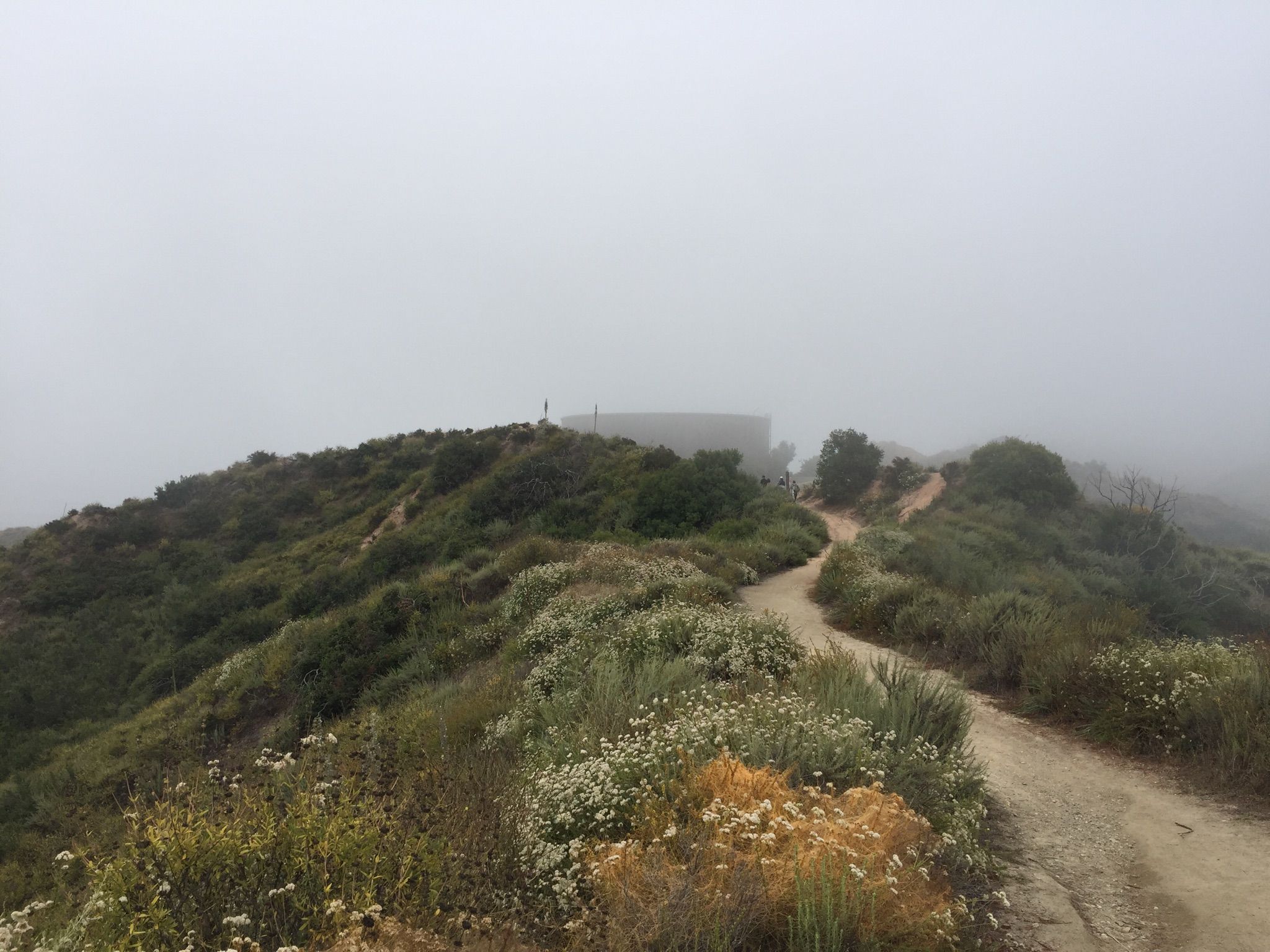 Dirt path winding through dense brush on a foggy hilltop, obscured by mist. - Aliso Creek Bikeway – Aliso Creek Bikeway loop from Mission Viejo