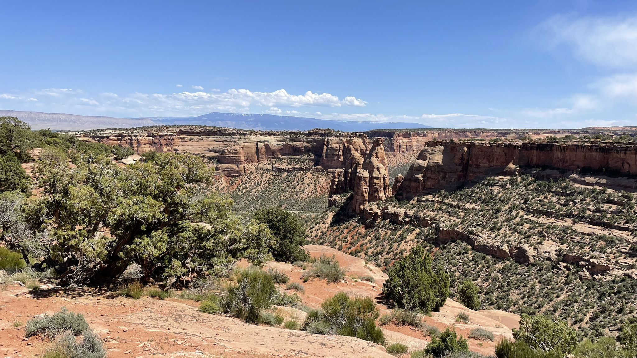 Vast canyon overlook with green trees, red rocks, and blue sky. - Canyon Rim and Window Rock Trail
