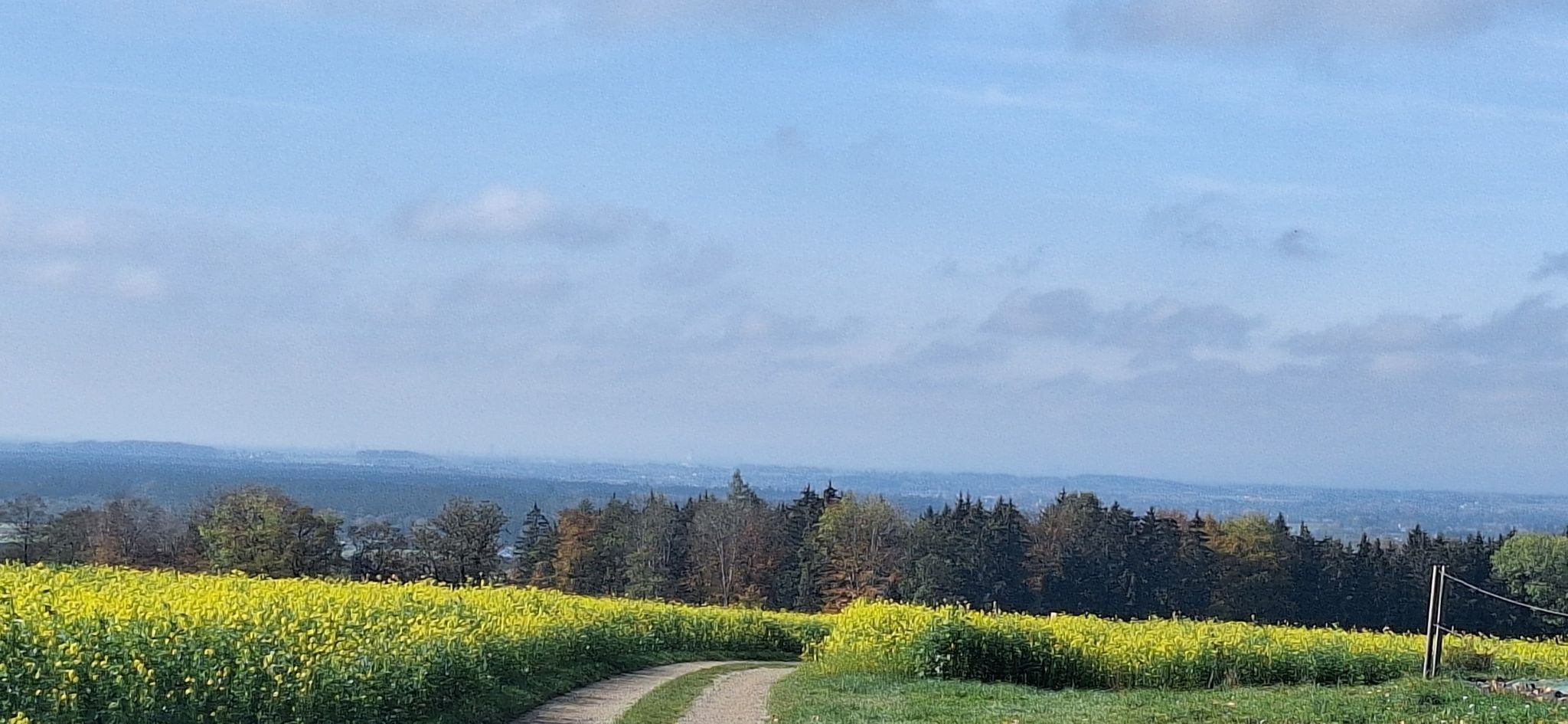 In der Ferne Müchen