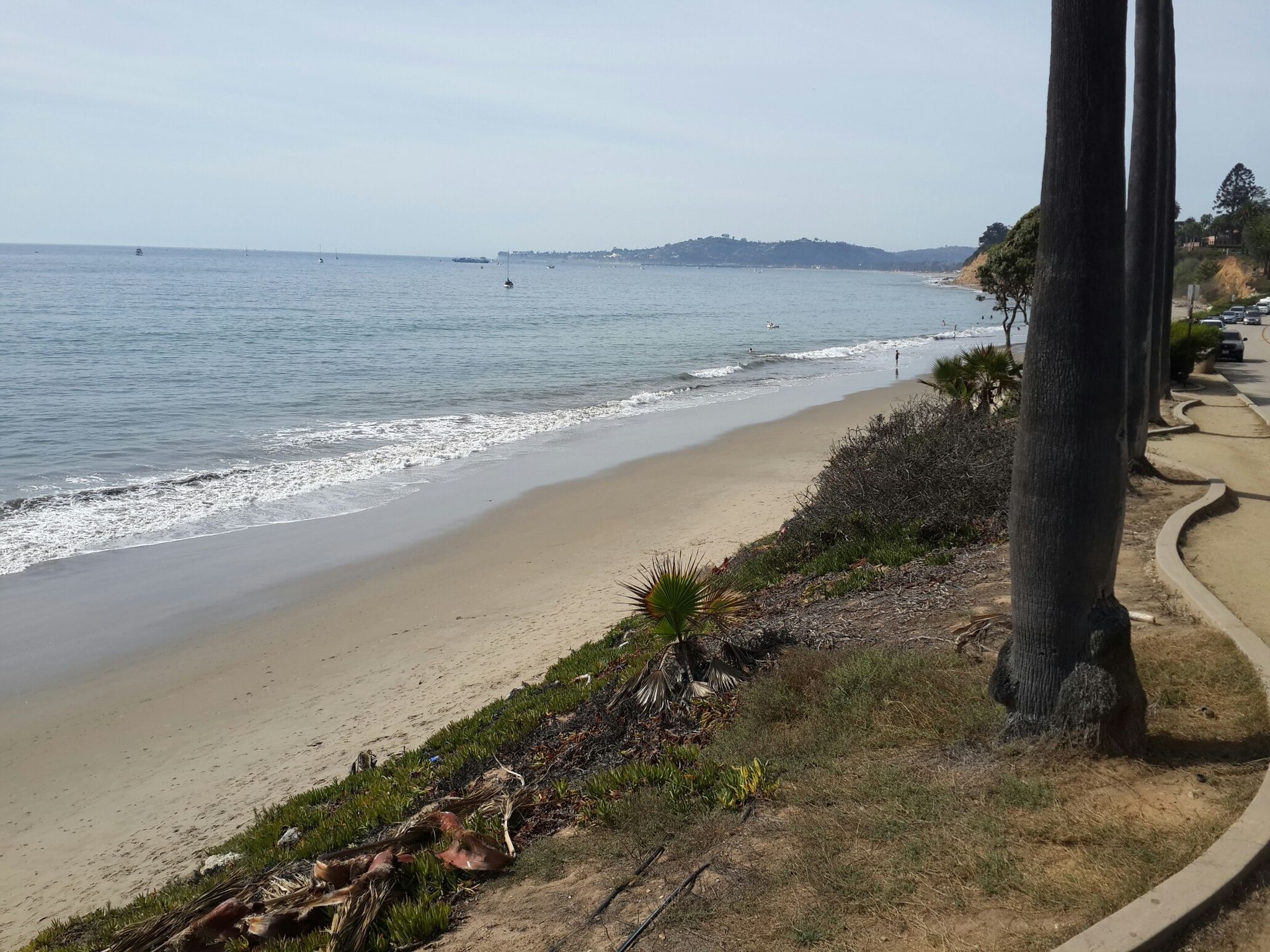 Sunny beach with gentle waves, distant hills, and tall palm tree trunks. - Coast Bicycle Route: Carpinteria Loop