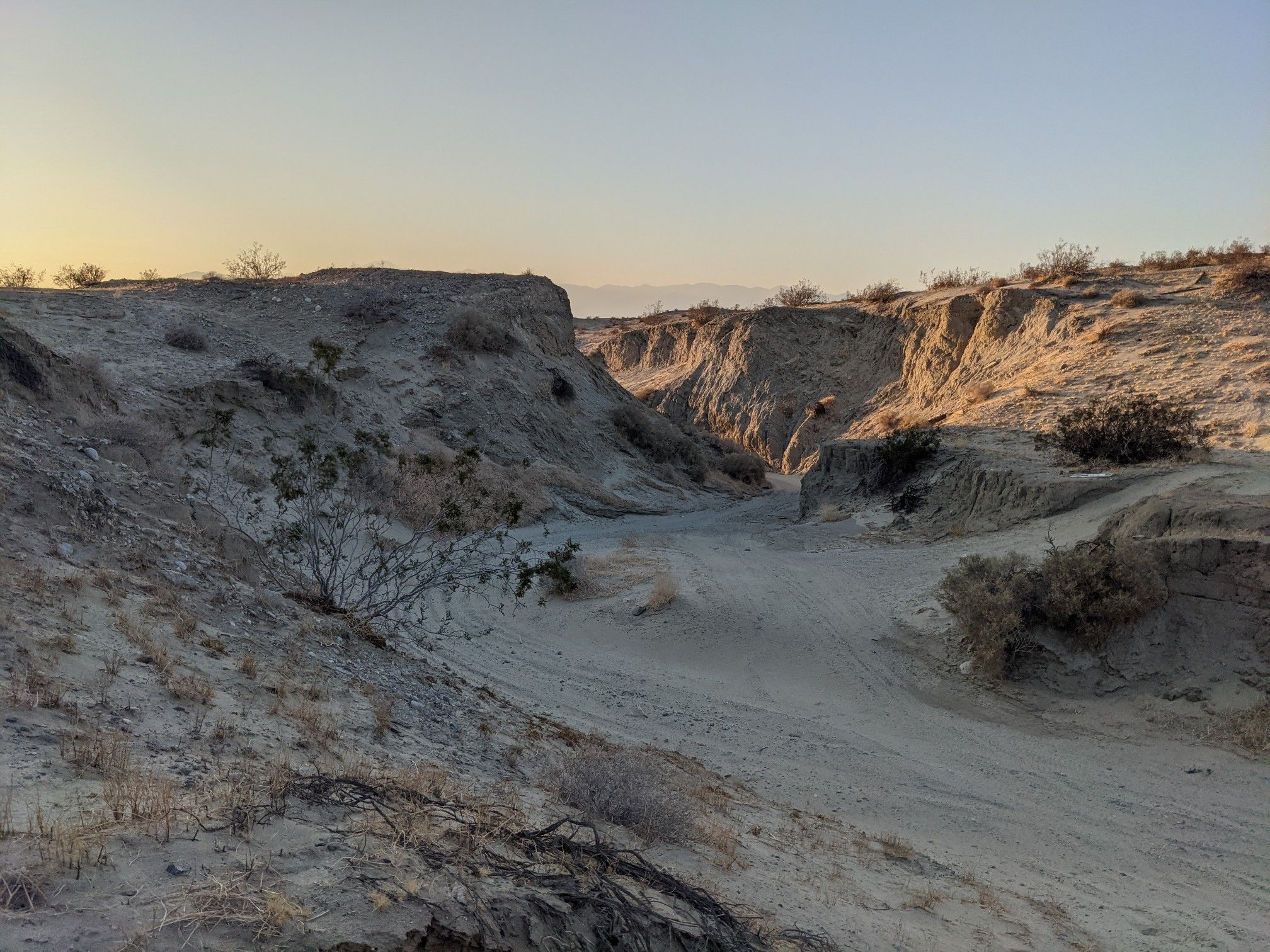 Sandy desert canyon with eroded walls and sparse bushes in warm evening light. - Kim Nicol Loop