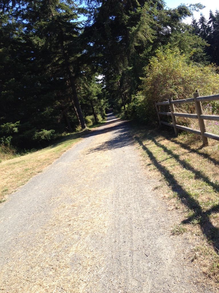 Sunny paved path alongside a wooden fence and tall trees casting shadows. - Larry Scott Memorial Trail