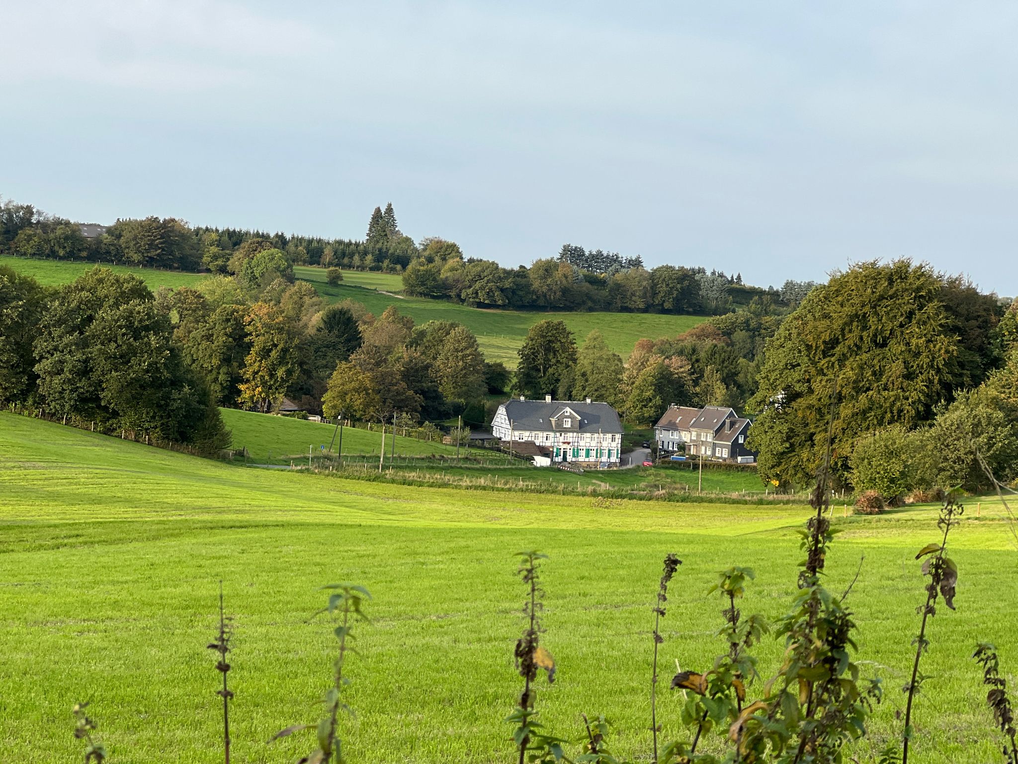 Blick Richtung Friedrichshöhe