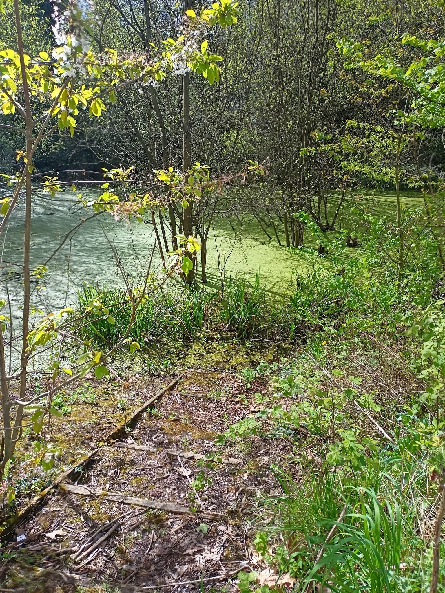 The over abandoned copswood pool