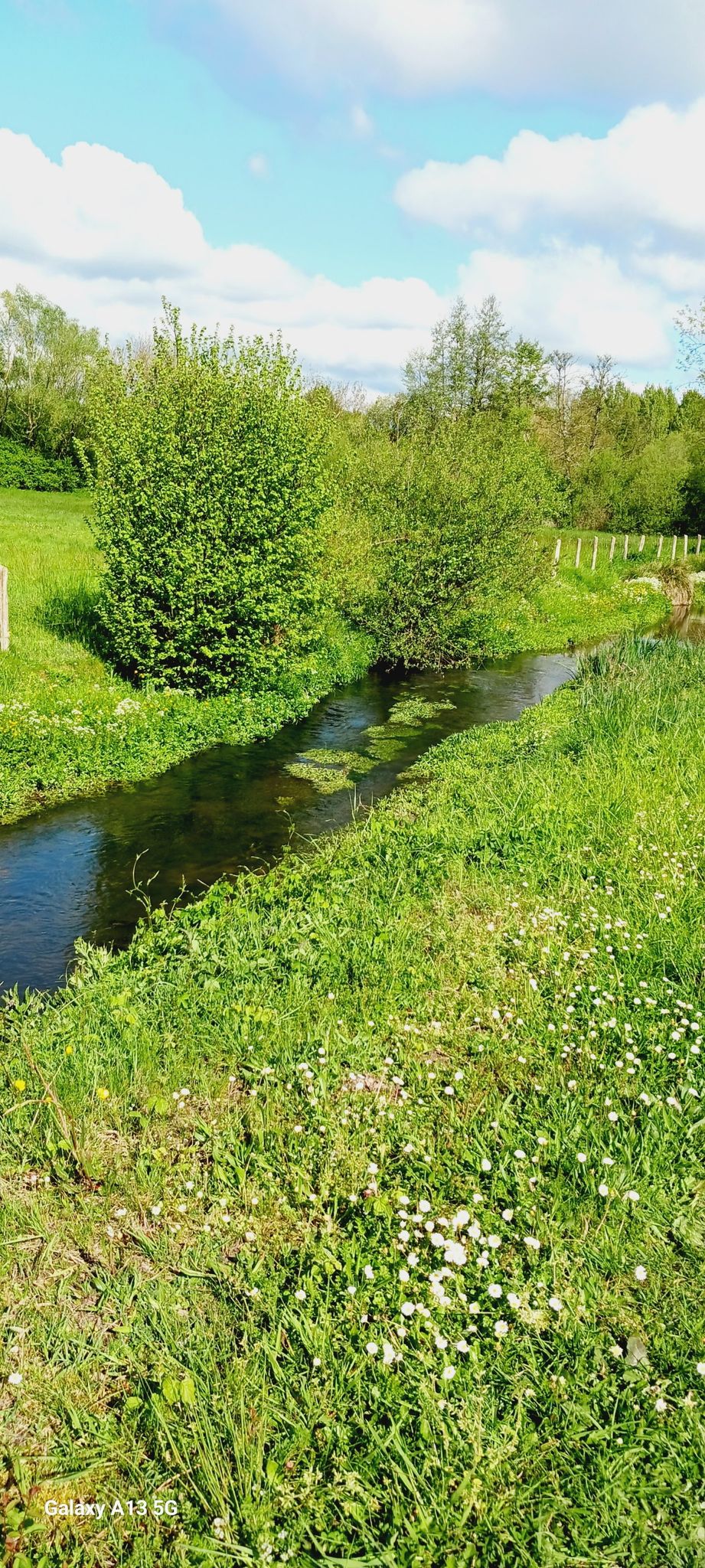 l'étangsort