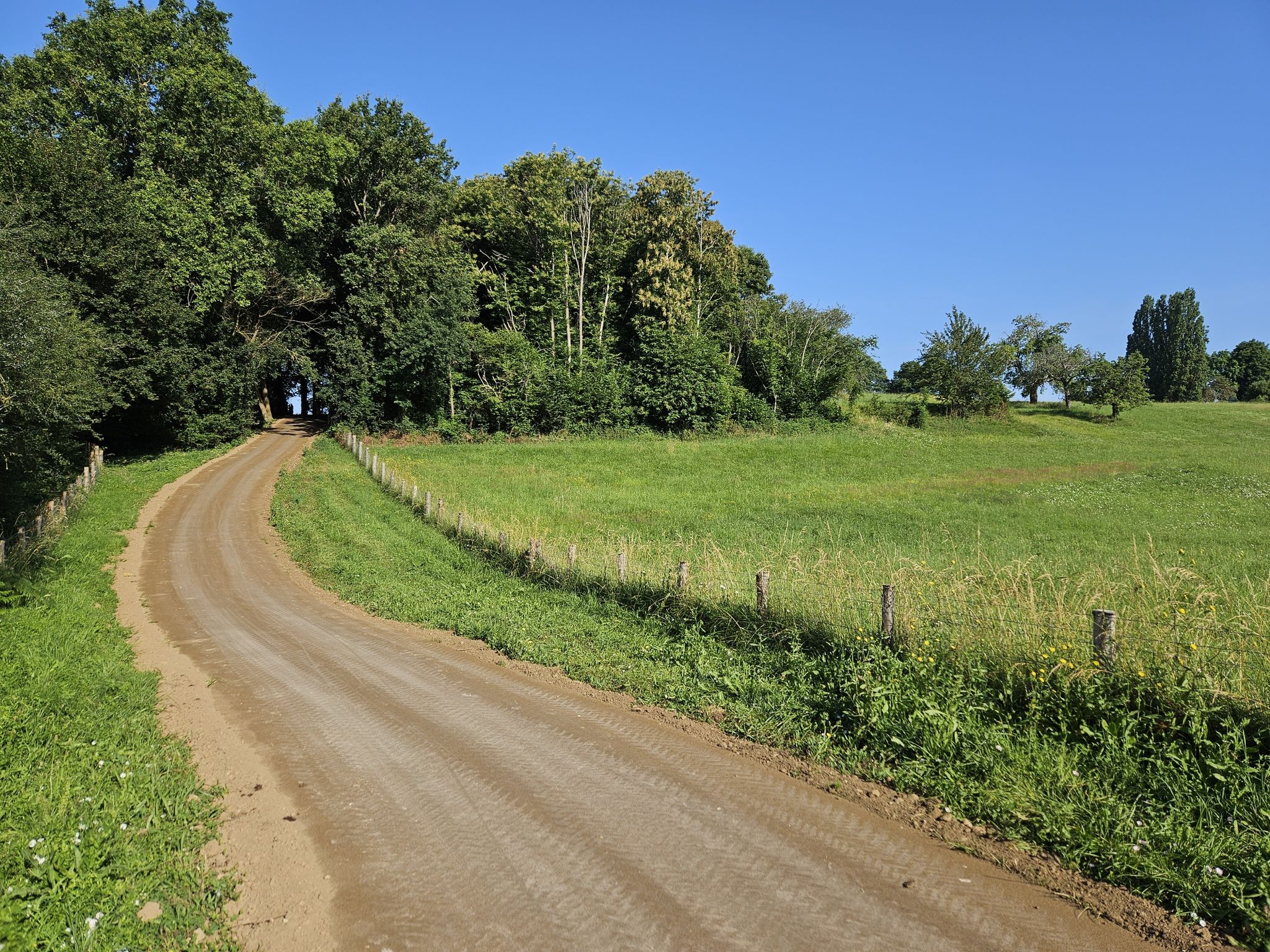 Nouvelle section du boulevard nature