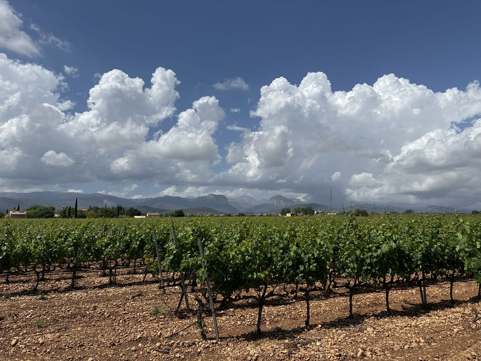 Berge, Wein und Wolken
