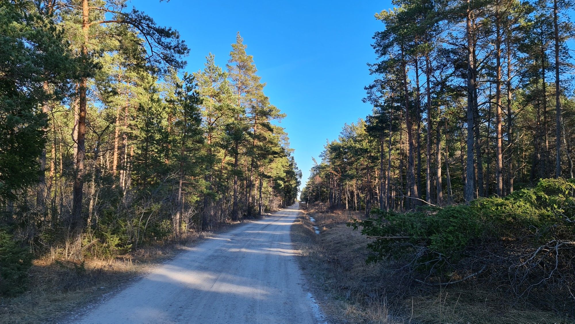 Där syns bilen som en liten vit prick