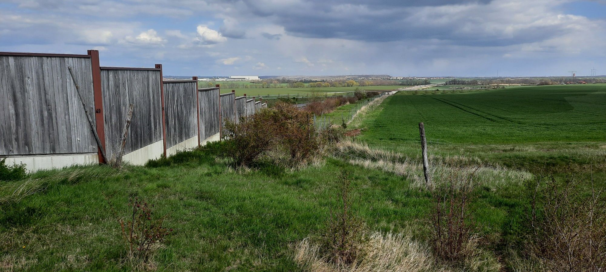 Wildbrücke über die A36 bei Gatersleben