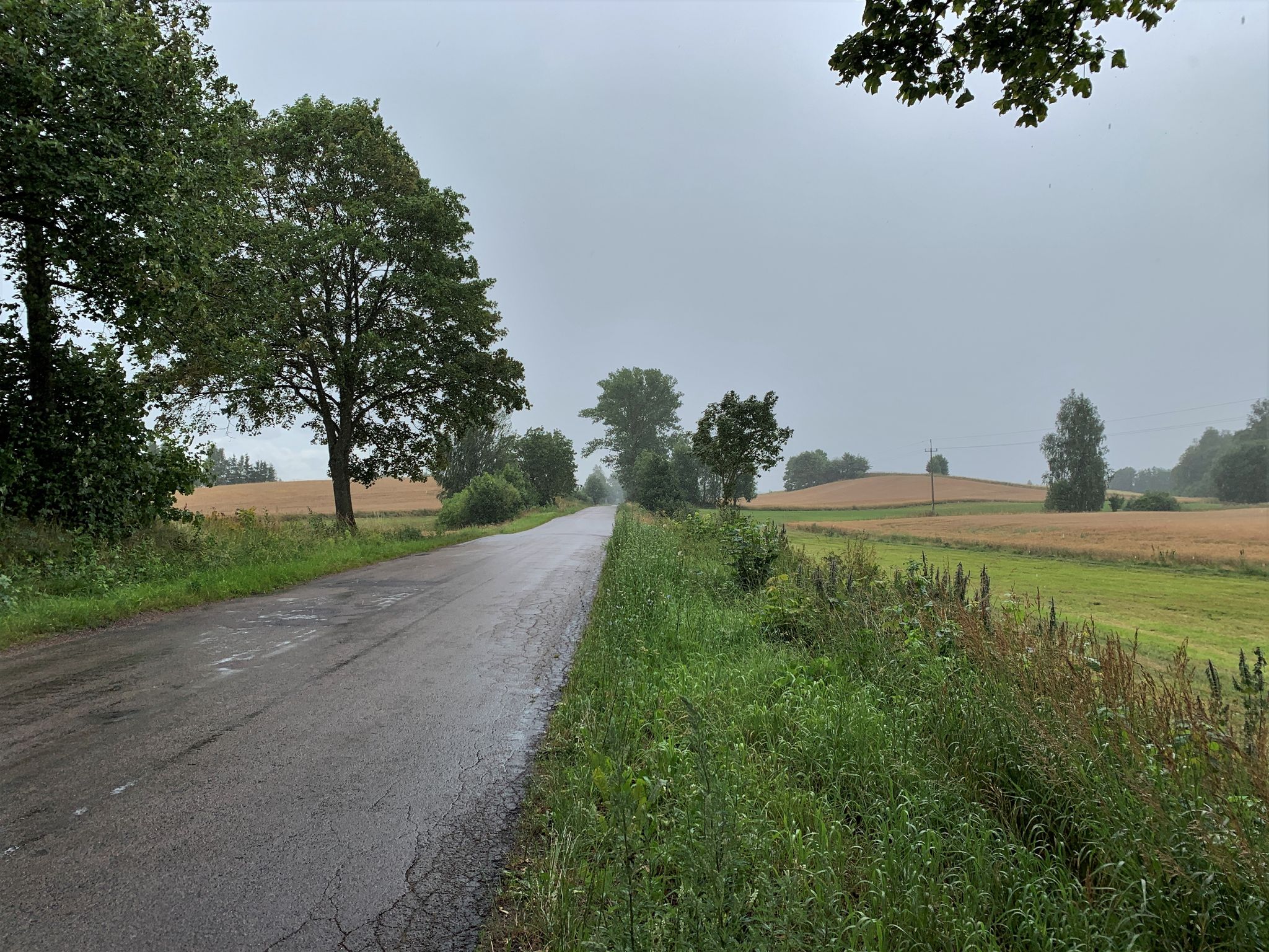 Und ein Gewitter zieht daher ...