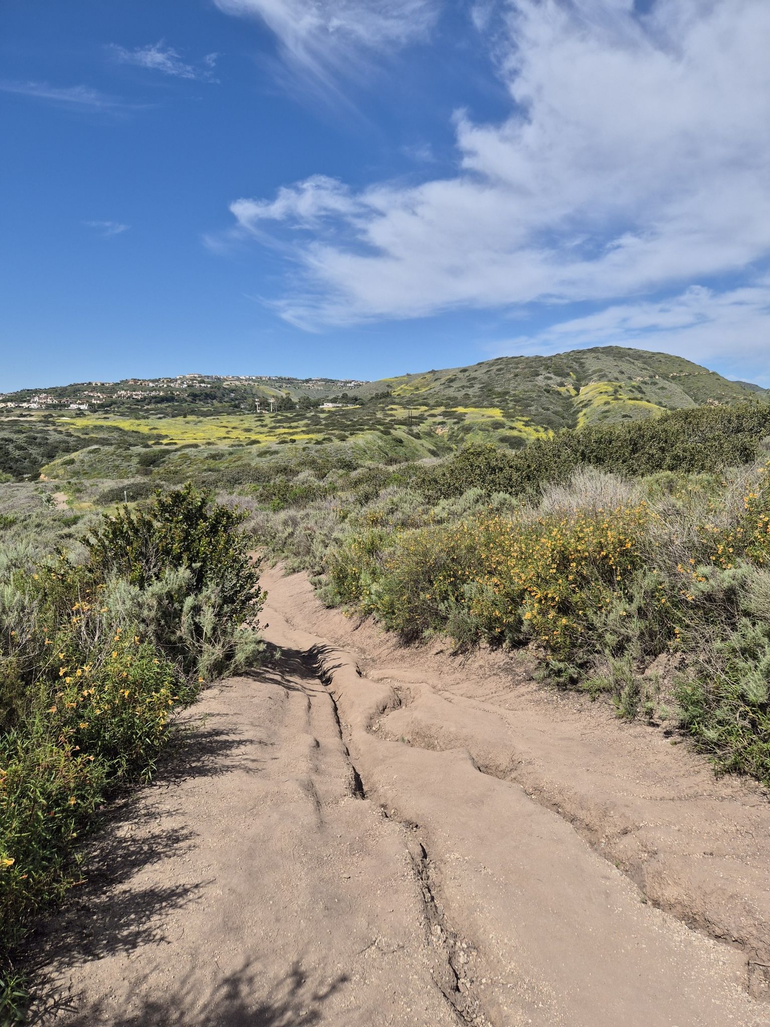 A cracked dirt path leads through green and yellow brush under a partly cloudy sky. - El Moro Canyon to Moro Ridge Loop