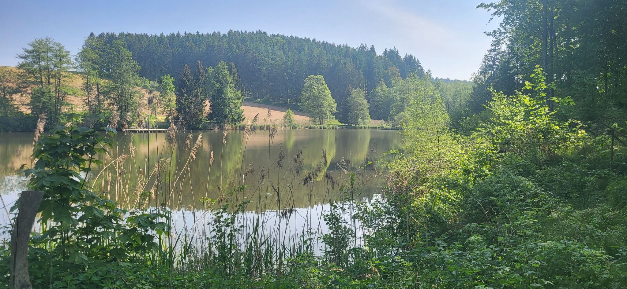 Sehr schöner Weiher👍