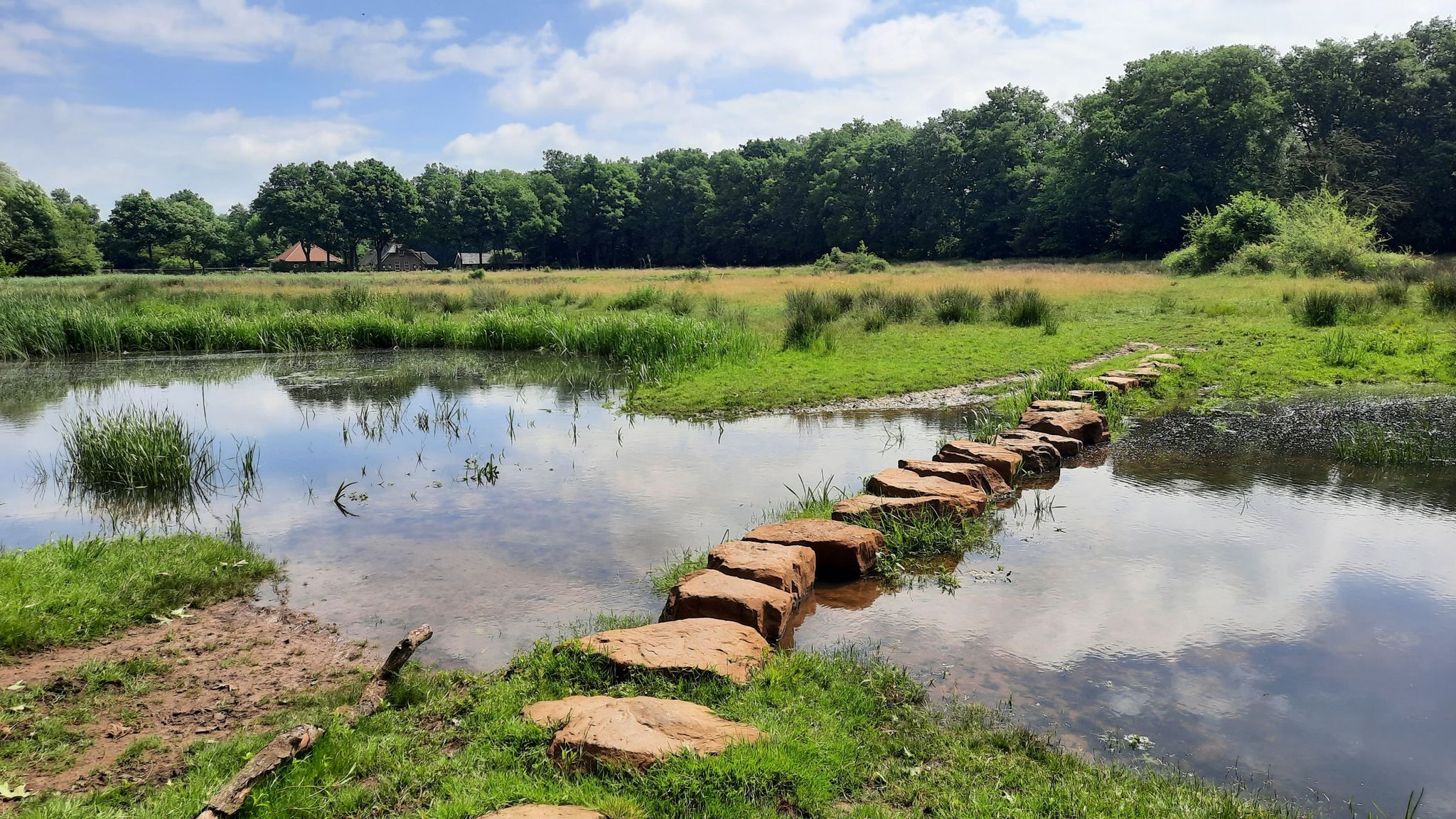Over stepping stones naar de overkant.