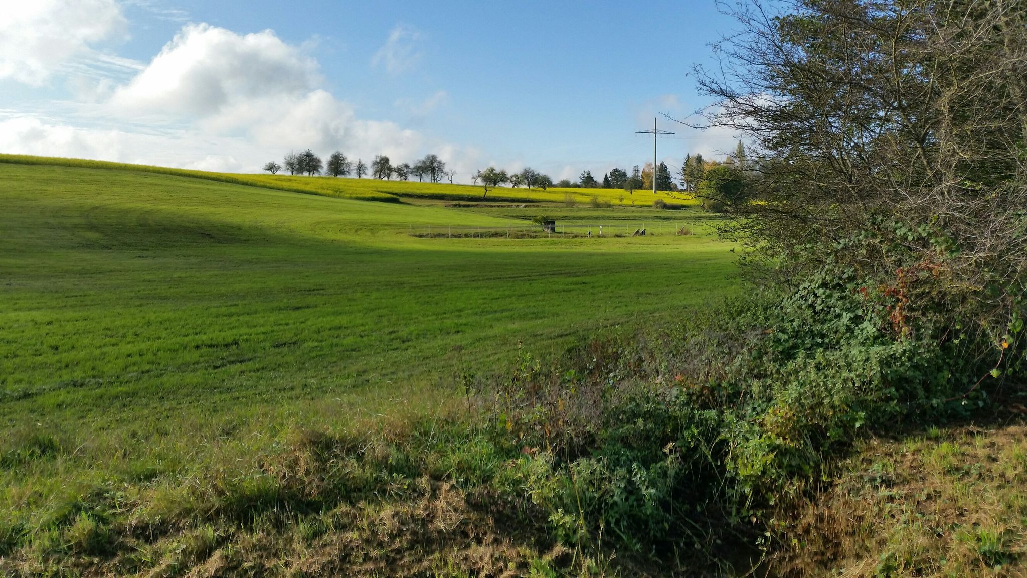 Vor Großhaslach