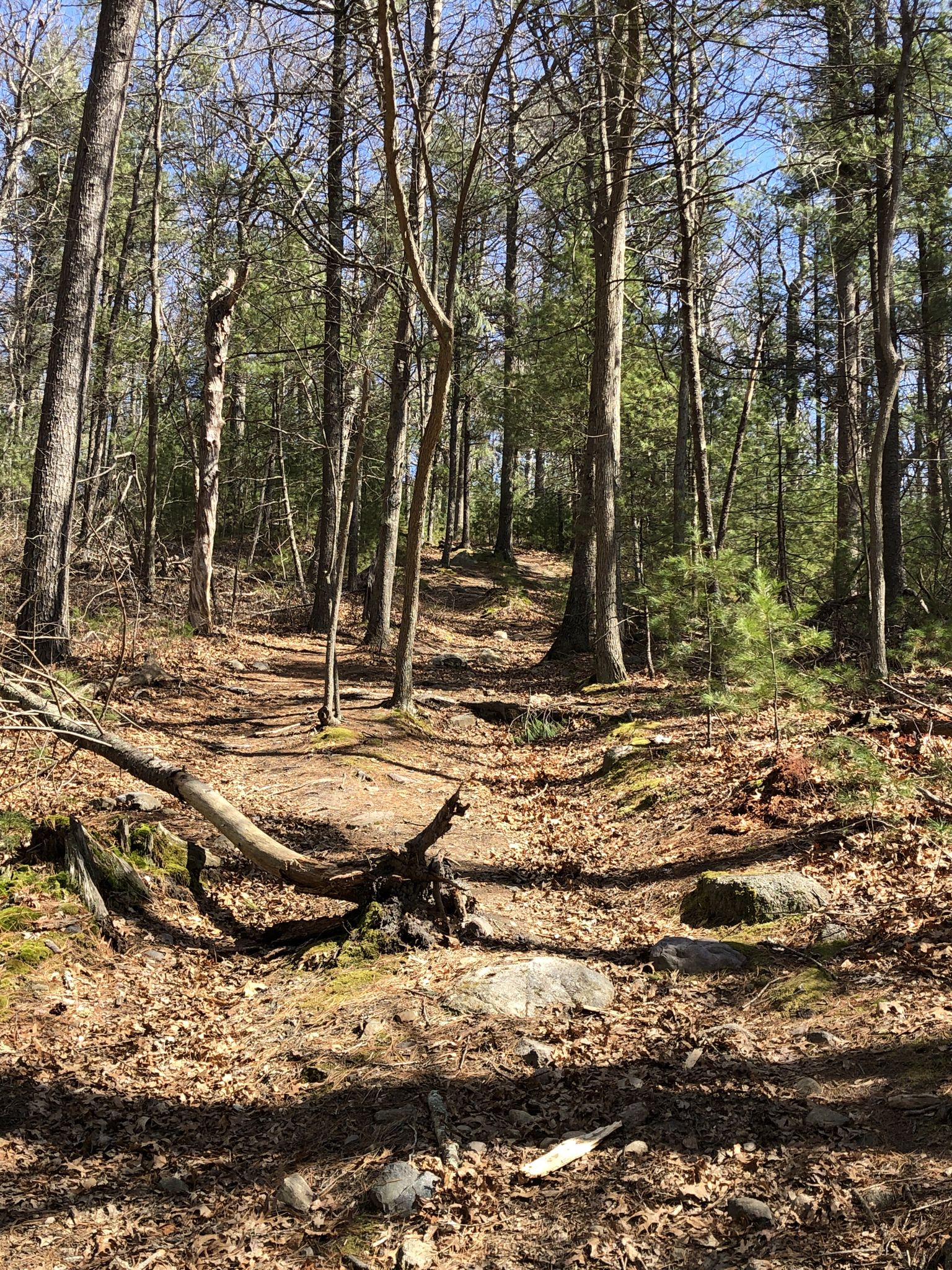 Up hill battles 