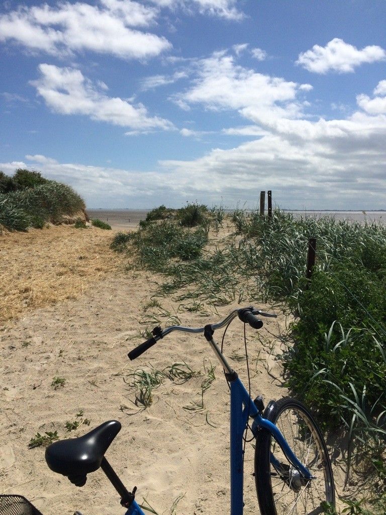 ked fahrradhelm gurt einfädeln Ersatz Rasterstecker Verschluß inkl. Klappe und RennMaxe Band _tab_size-guide-helmets Wähle eine Farbe:Blau Cobi: Vernetztes Cockpit mit