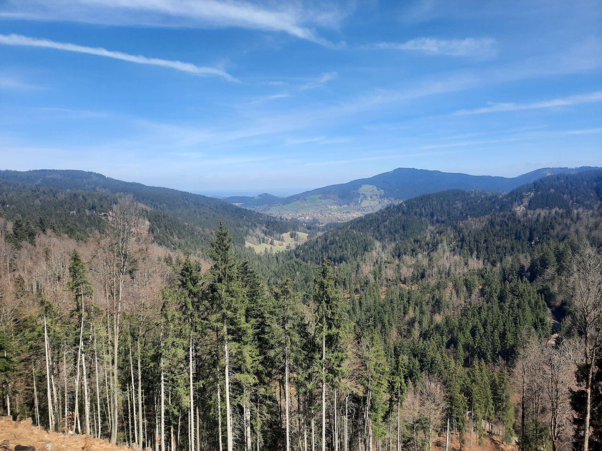 Schöner Ausblick