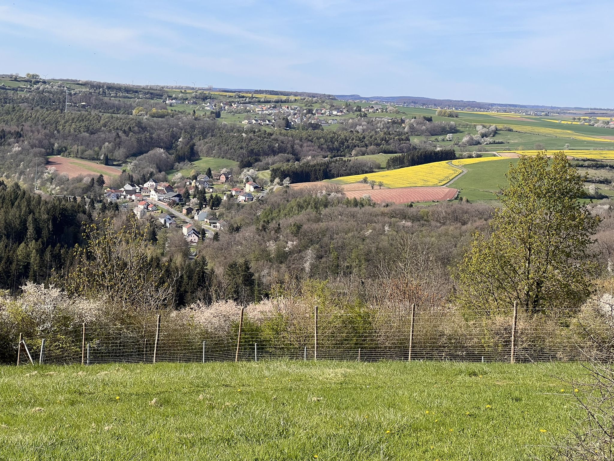 Blick auf Philippsheim