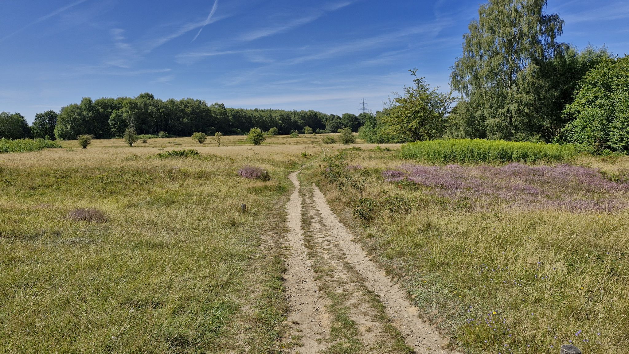 aber tolle Landschaft