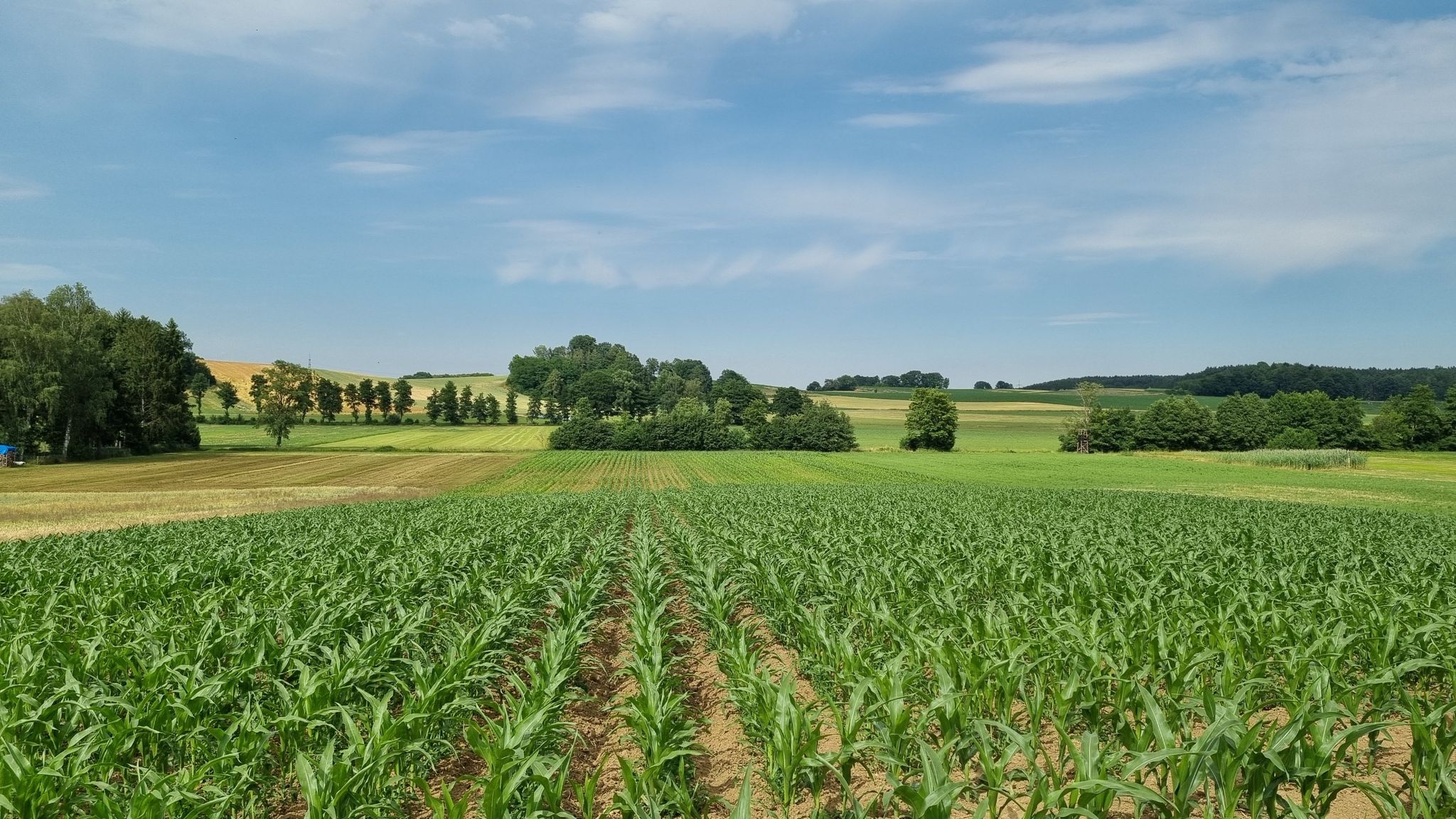 schöne Landschaft hier 🤩